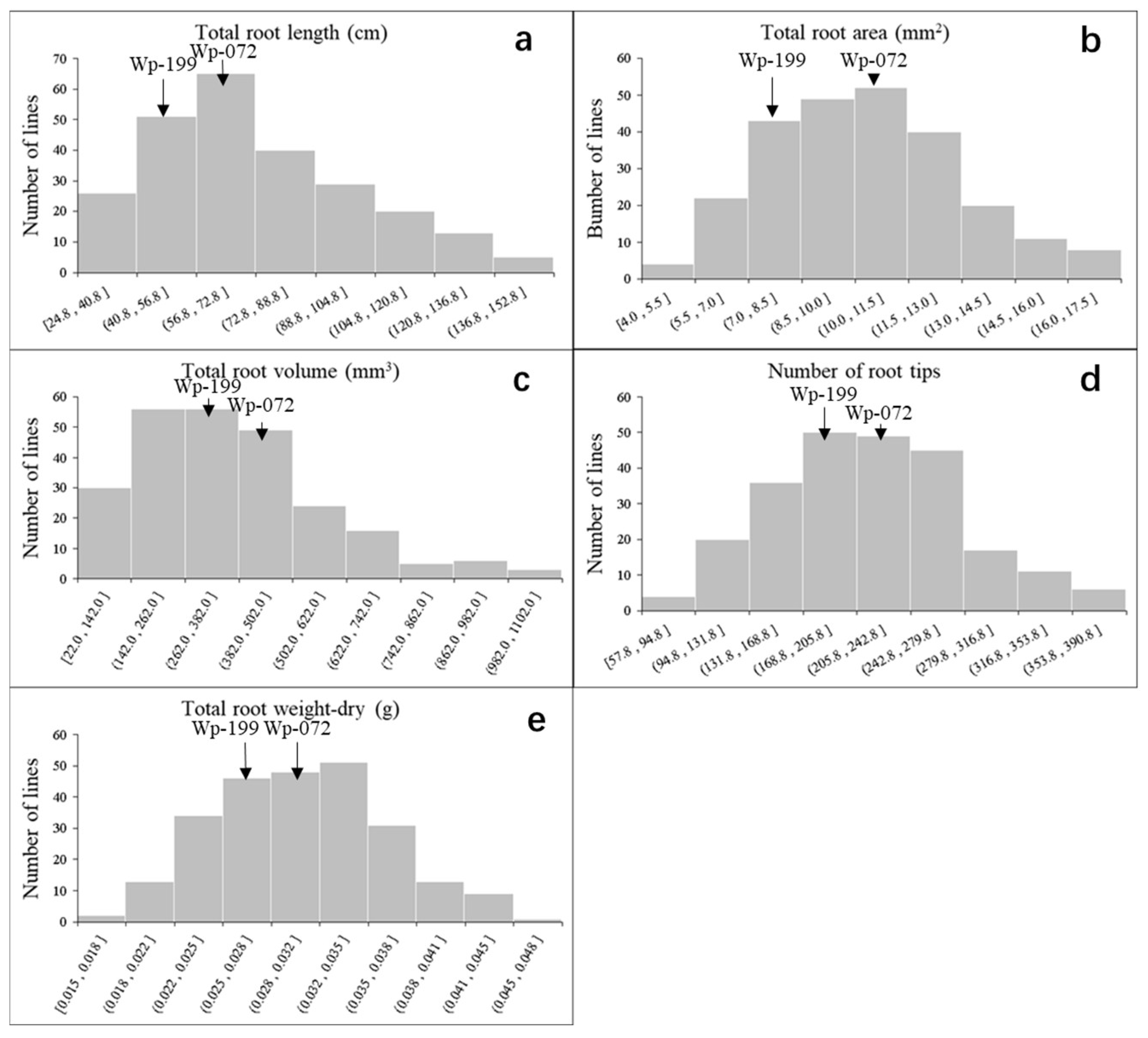 Plants 14 00490 g001