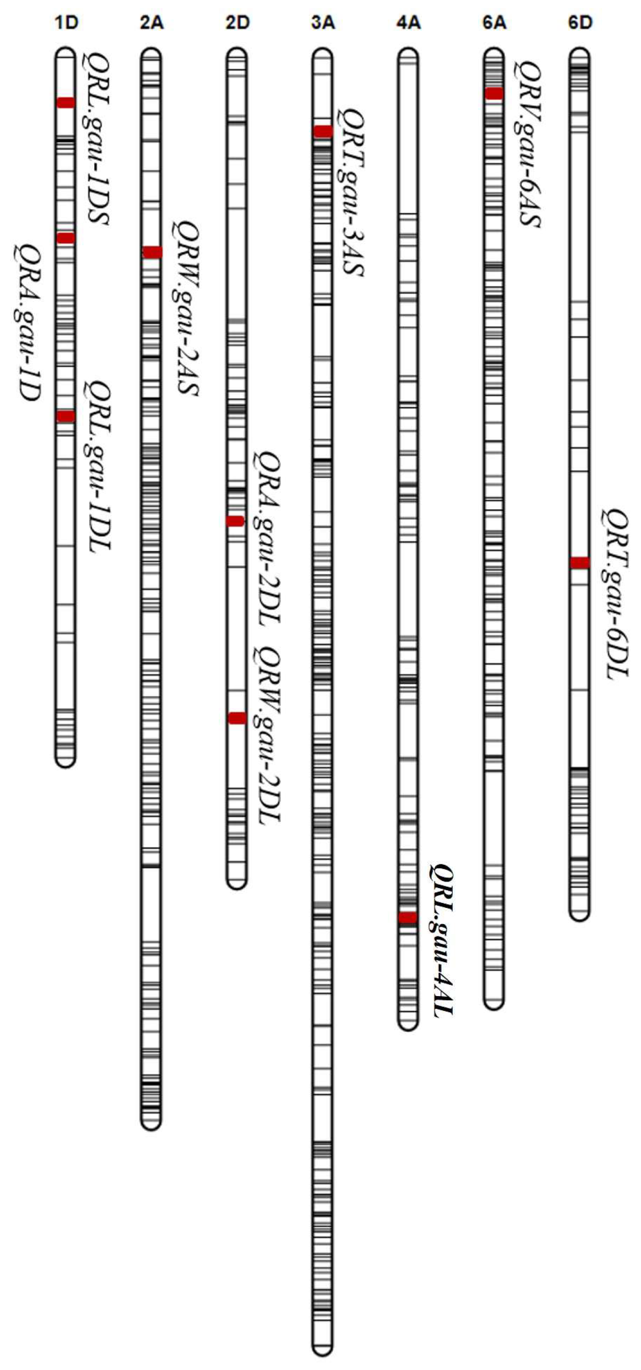 Plants 14 00490 g002