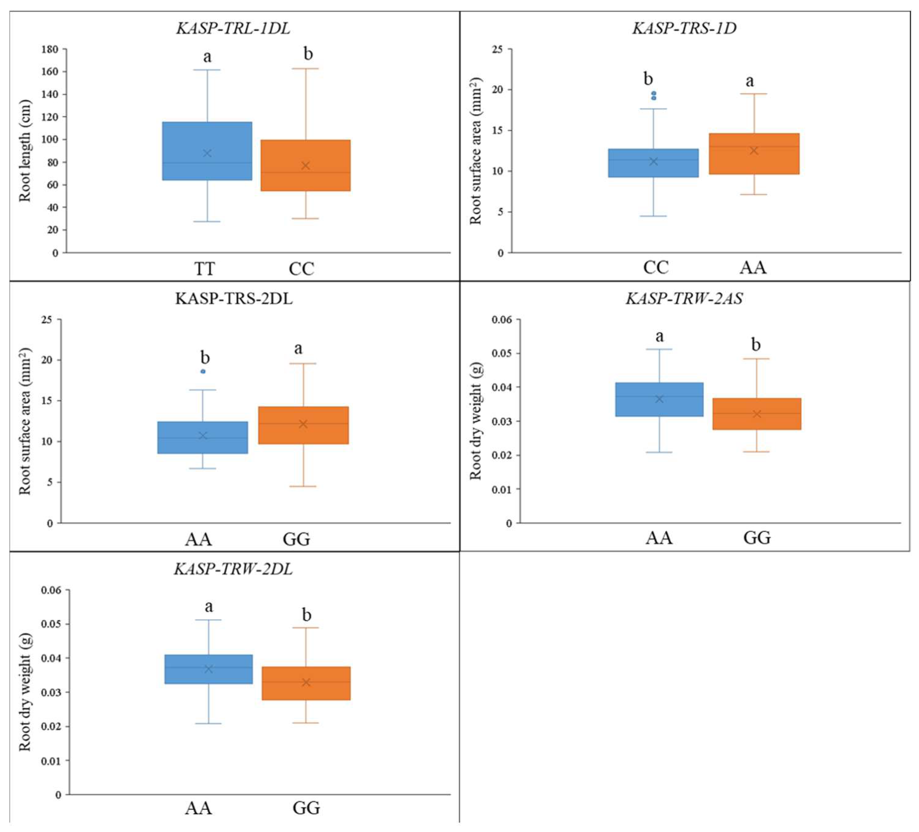 Plants 14 00490 g003