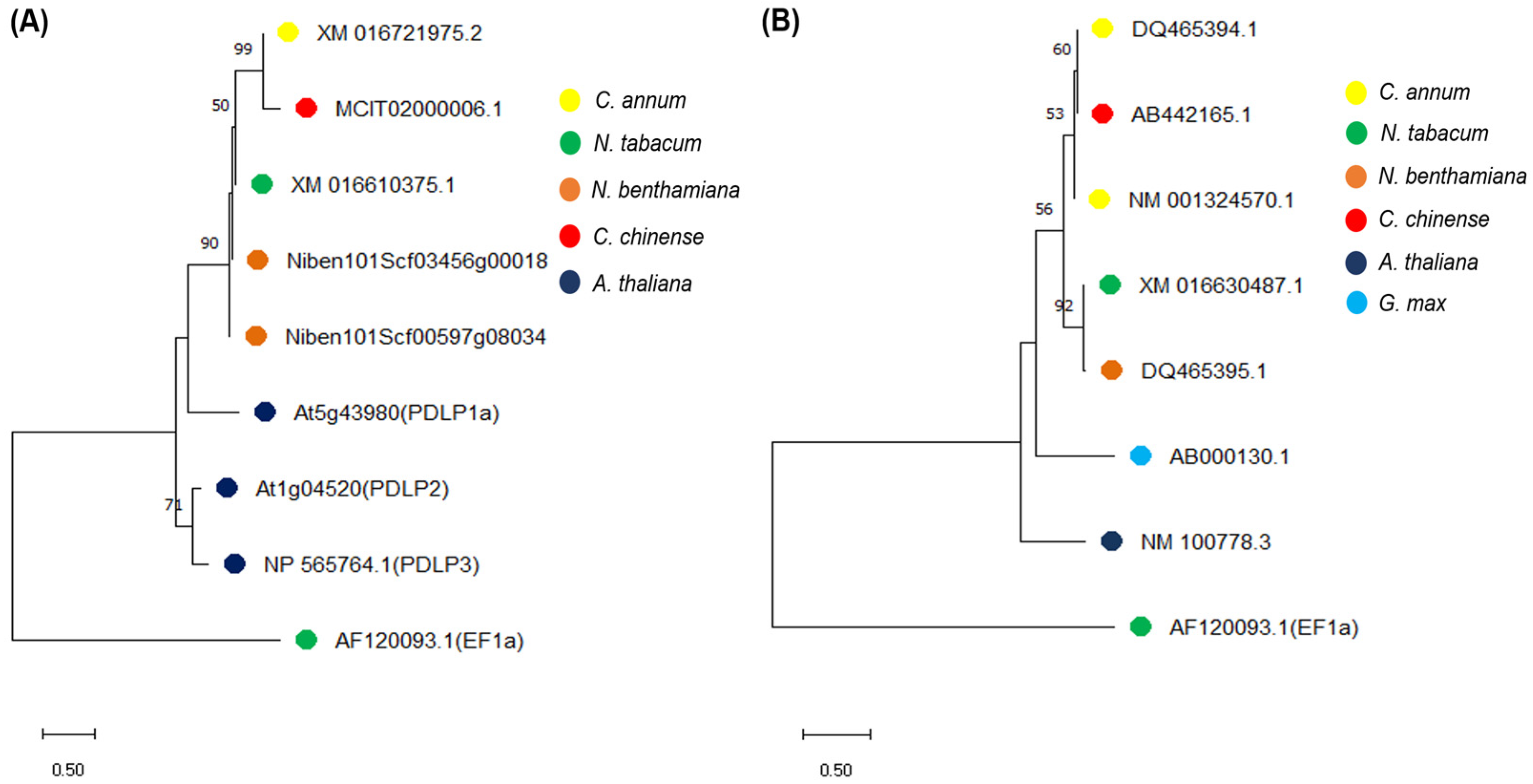 Plants 14 00495 g001 Plants 14 00495 g001