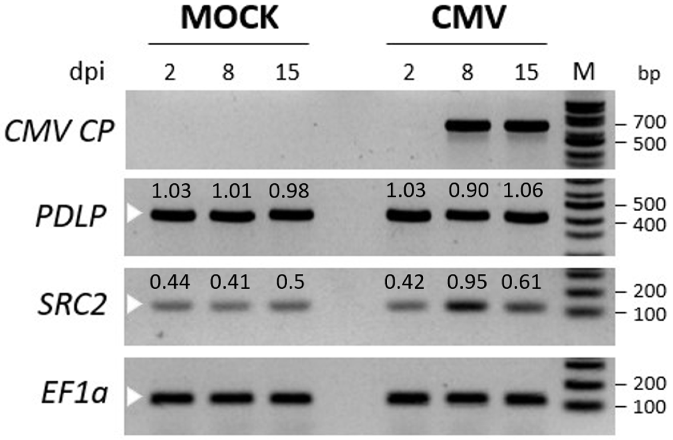 Plants 14 00495 g003 Plants 14 00495 g003