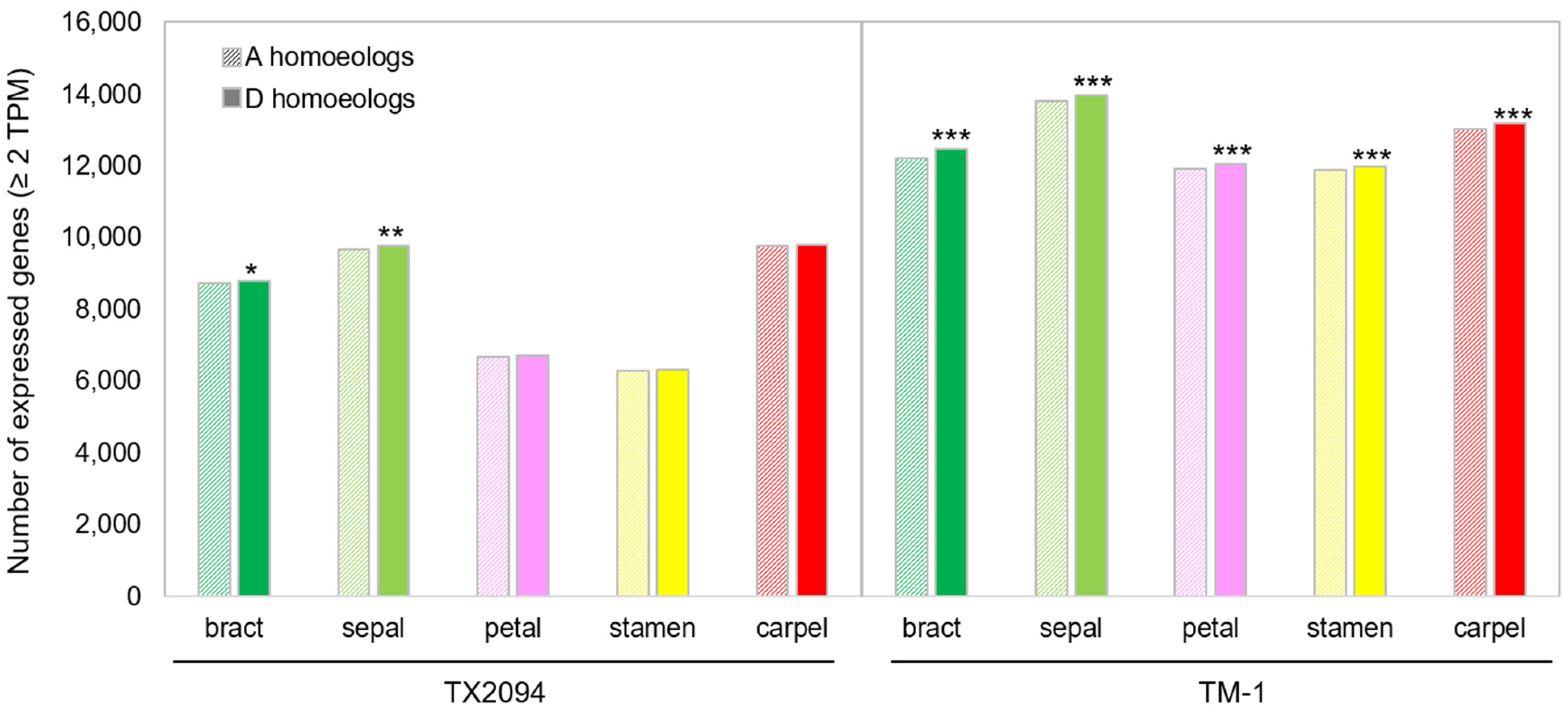Plants 14 00502 g002