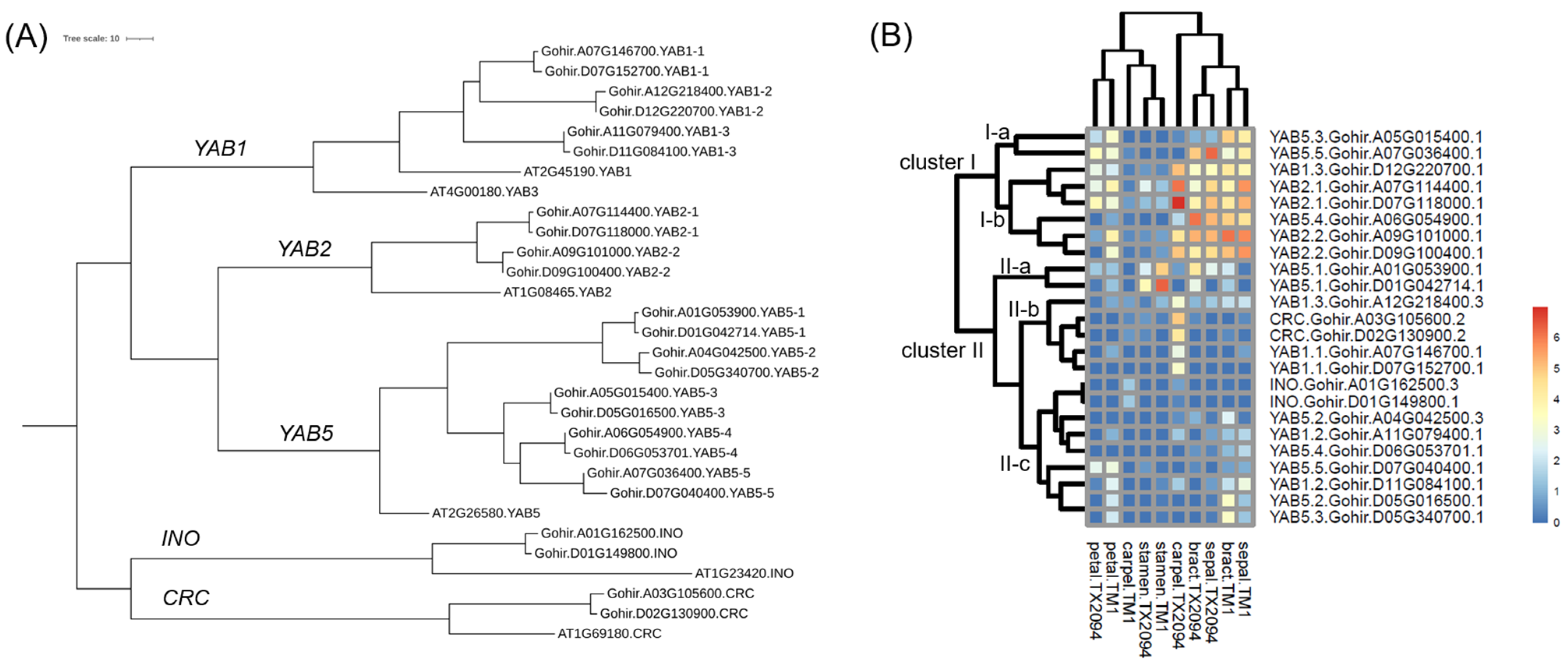 Plants 14 00502 g008