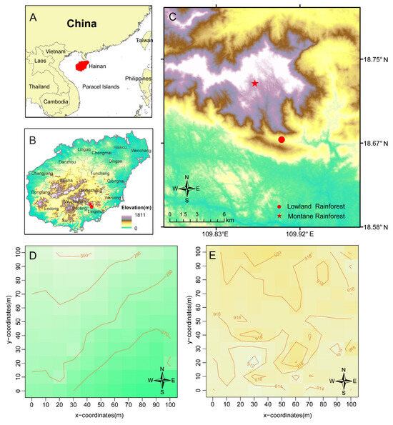 Why Is the Diversity of Tree Species in China's Lowland