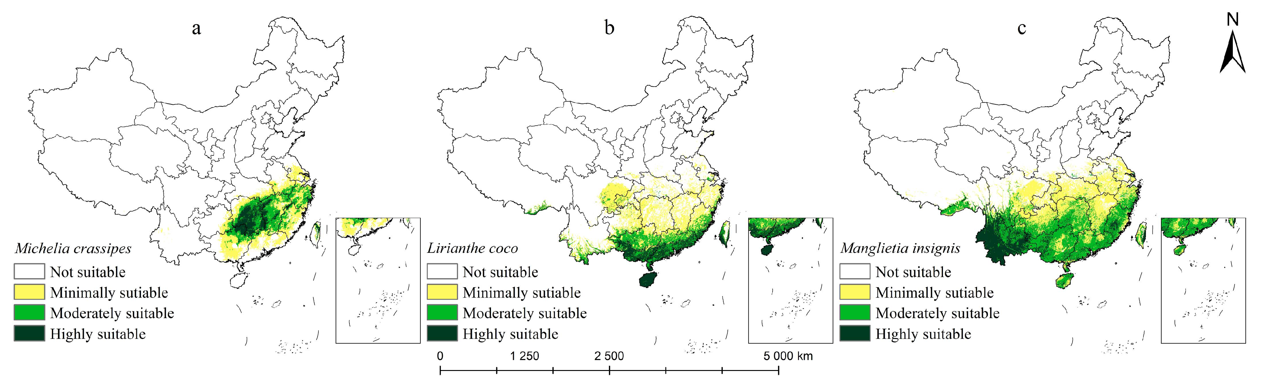 Plants 14 00506 g006