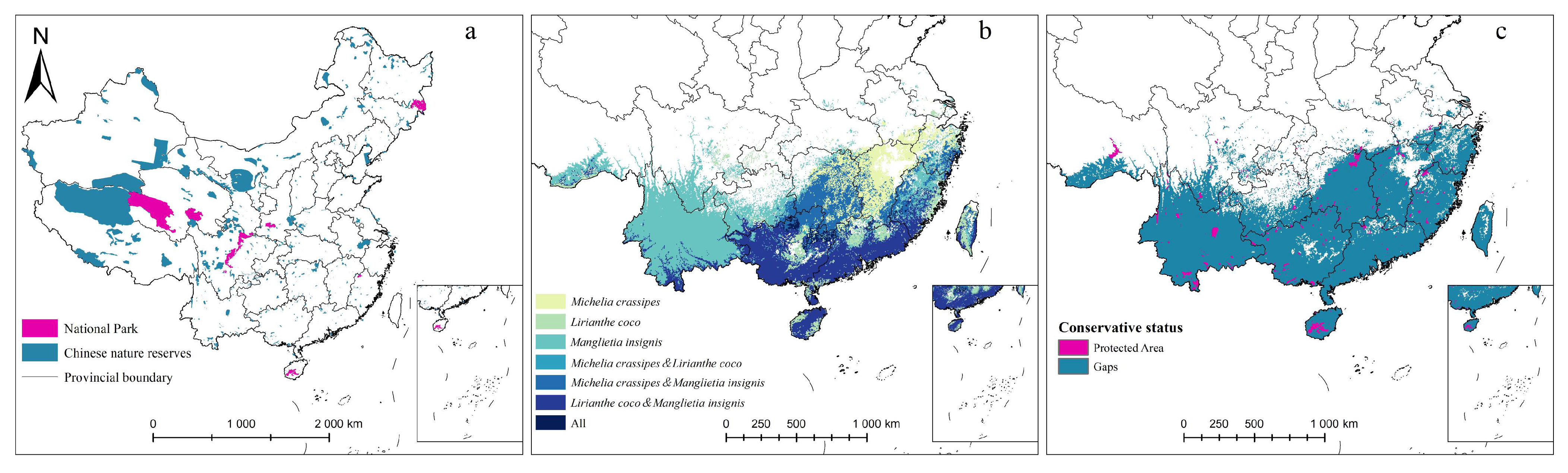 Plants 14 00506 g008