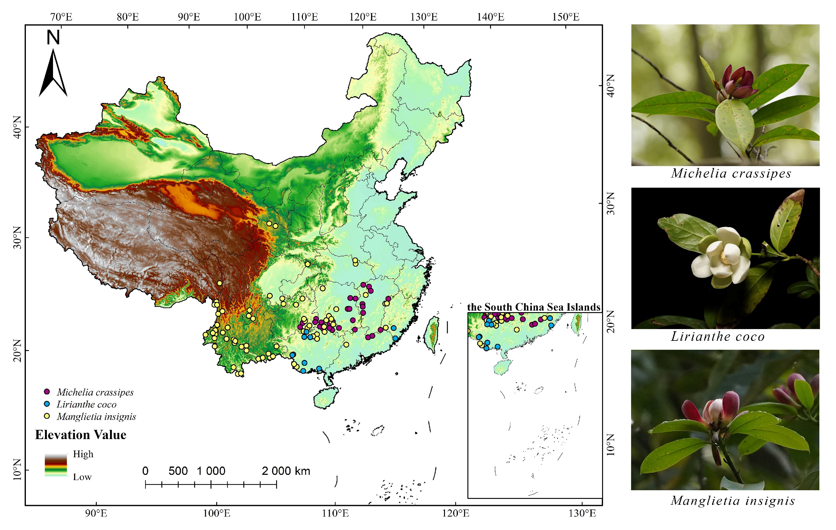 Plants 14 00506 g013