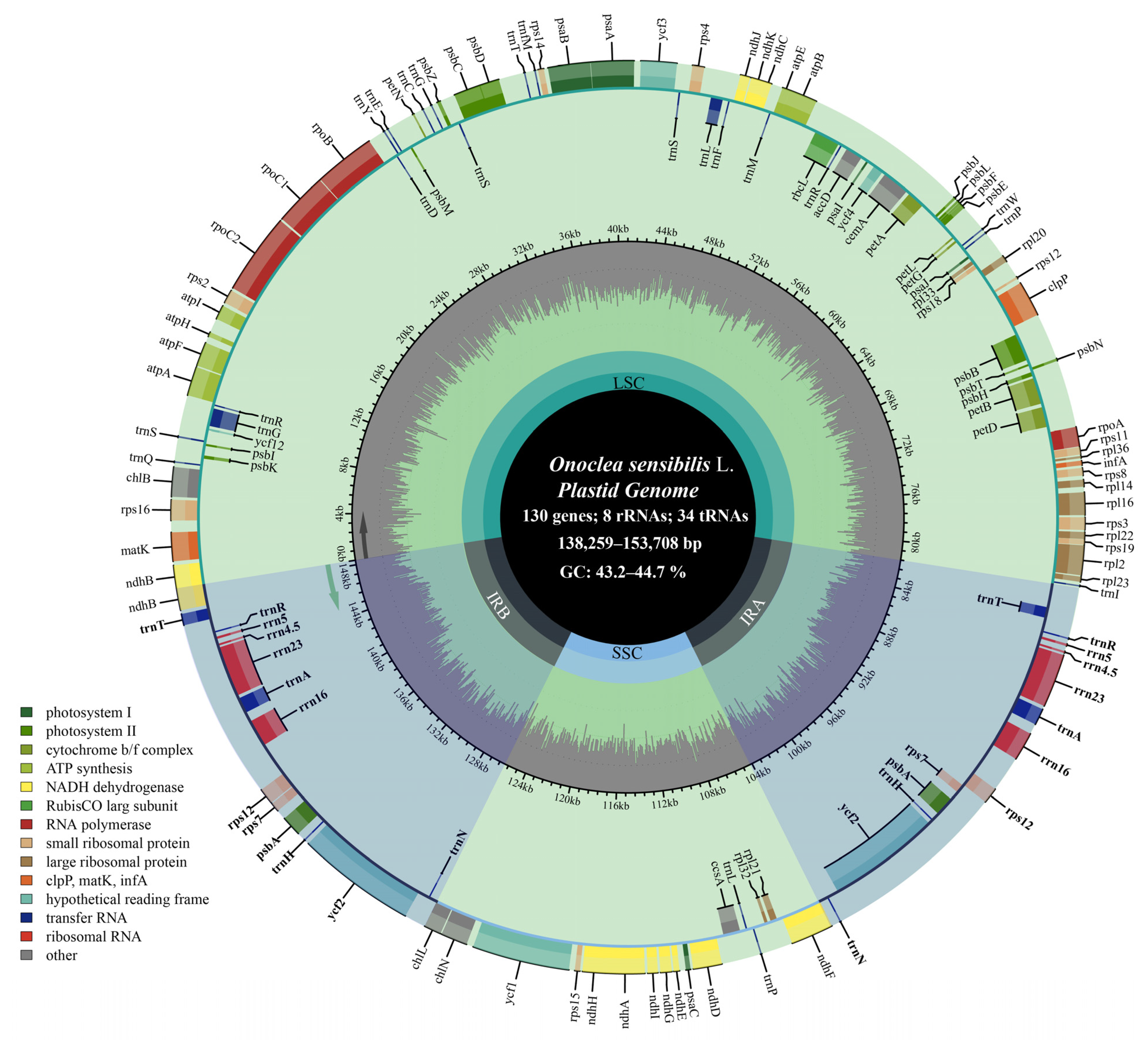 Plants 14 00510 g001