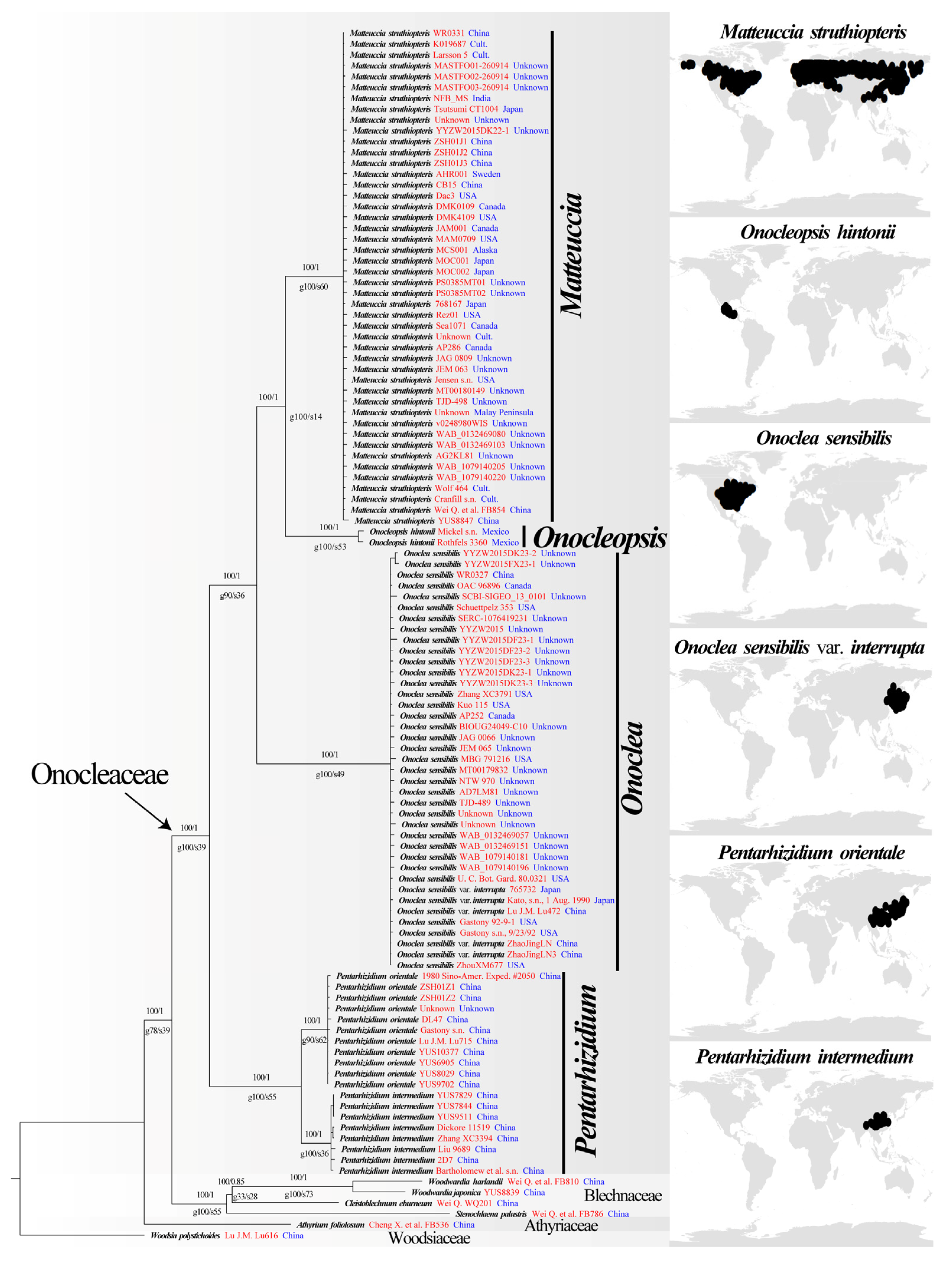 Plants 14 00510 g002