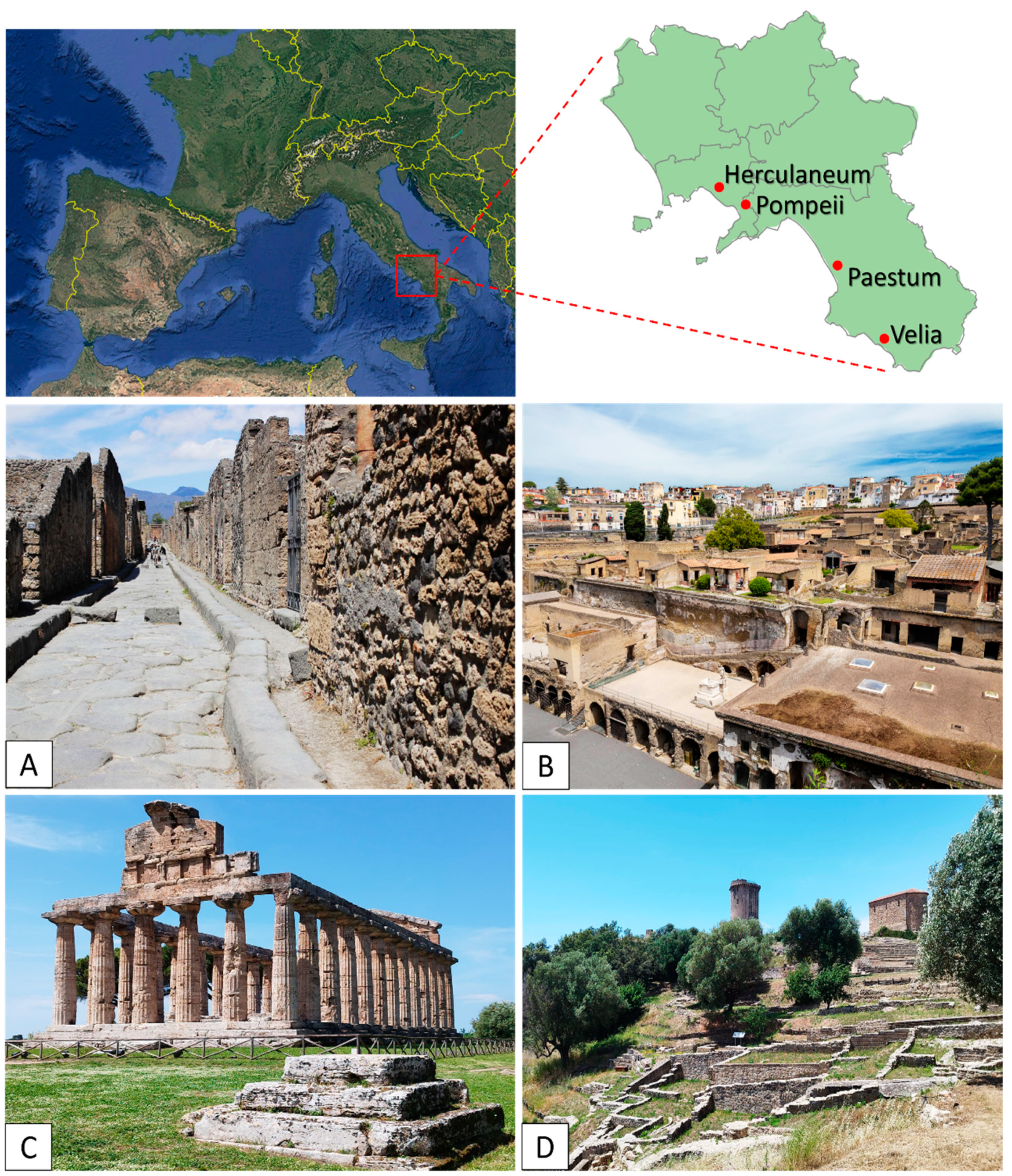 Plants 14 00514 g009