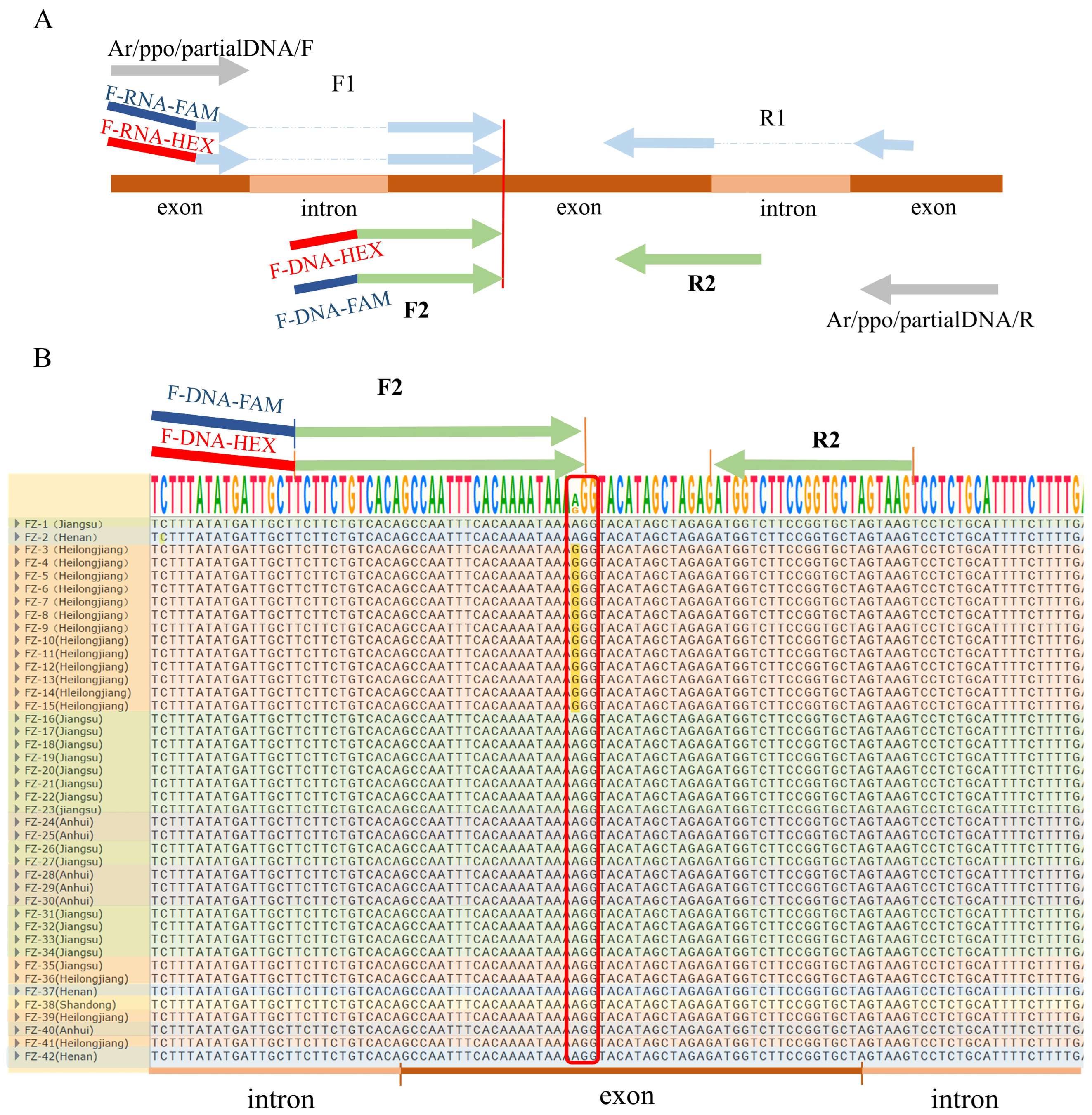 Plants 14 00515 g003
