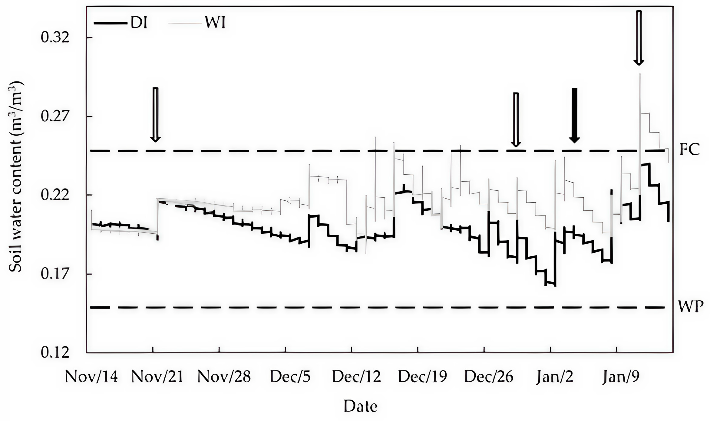 Plants 14 00517 g001