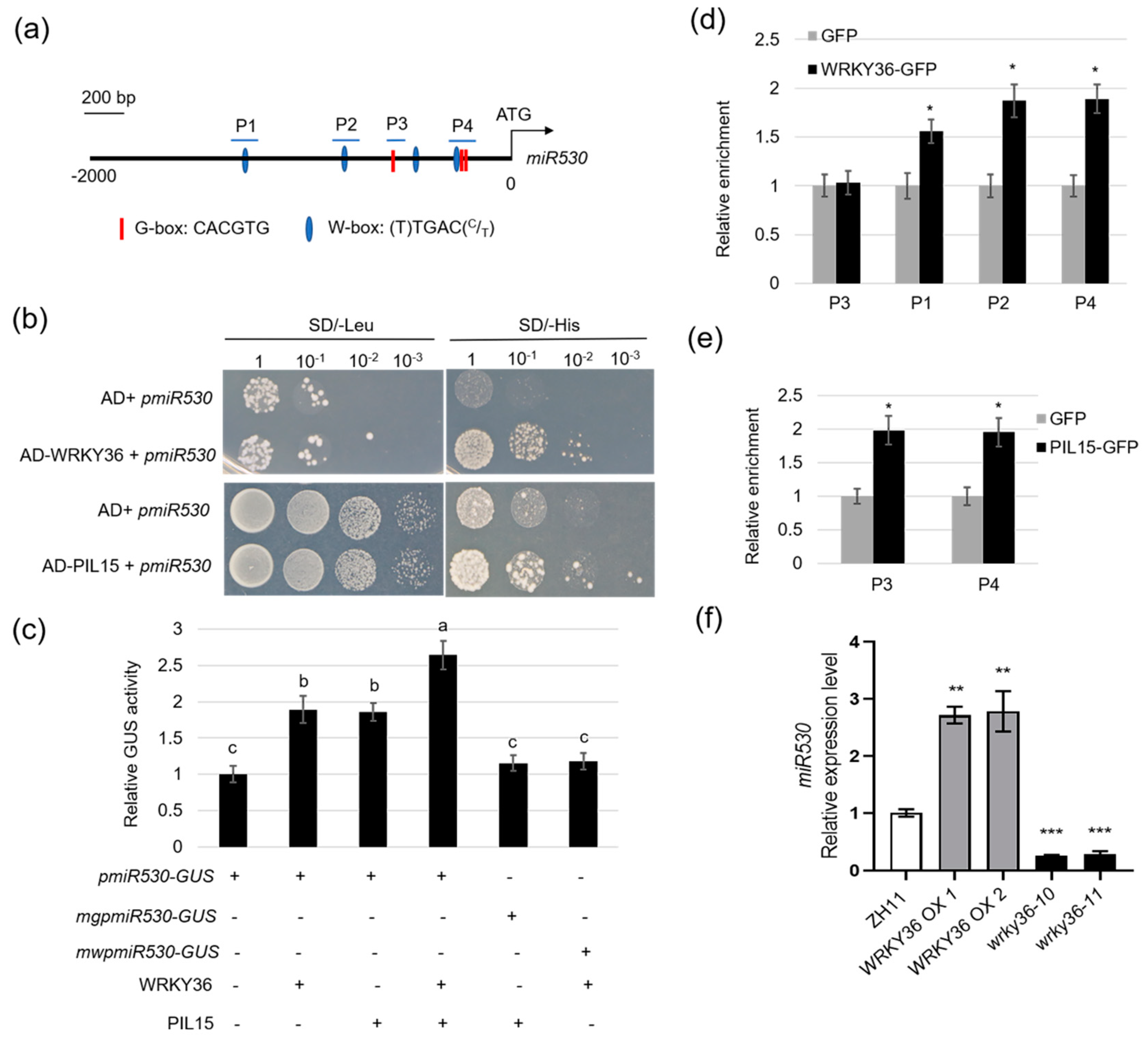 Plants 14 00518 g005