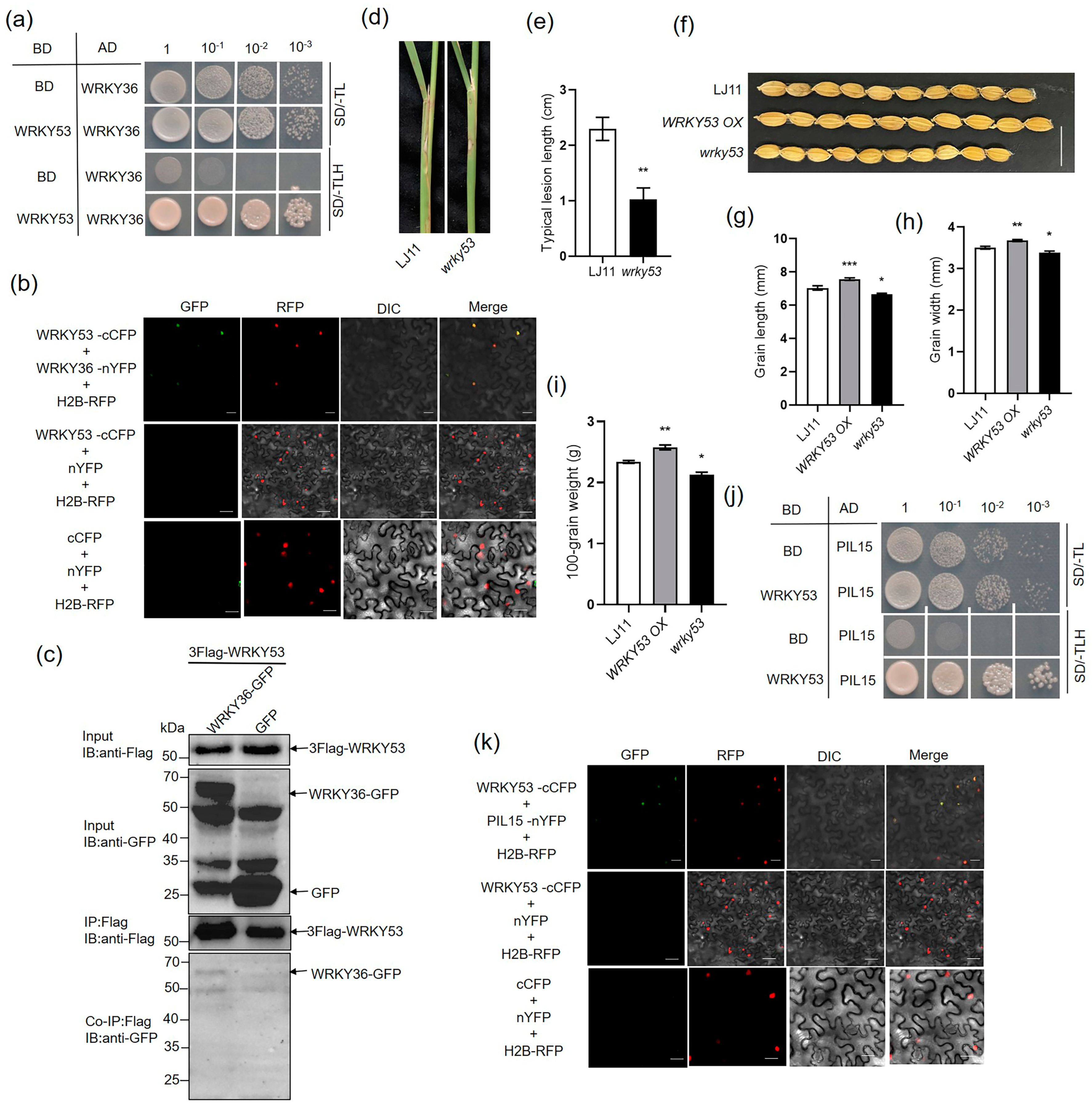 Plants 14 00518 g006