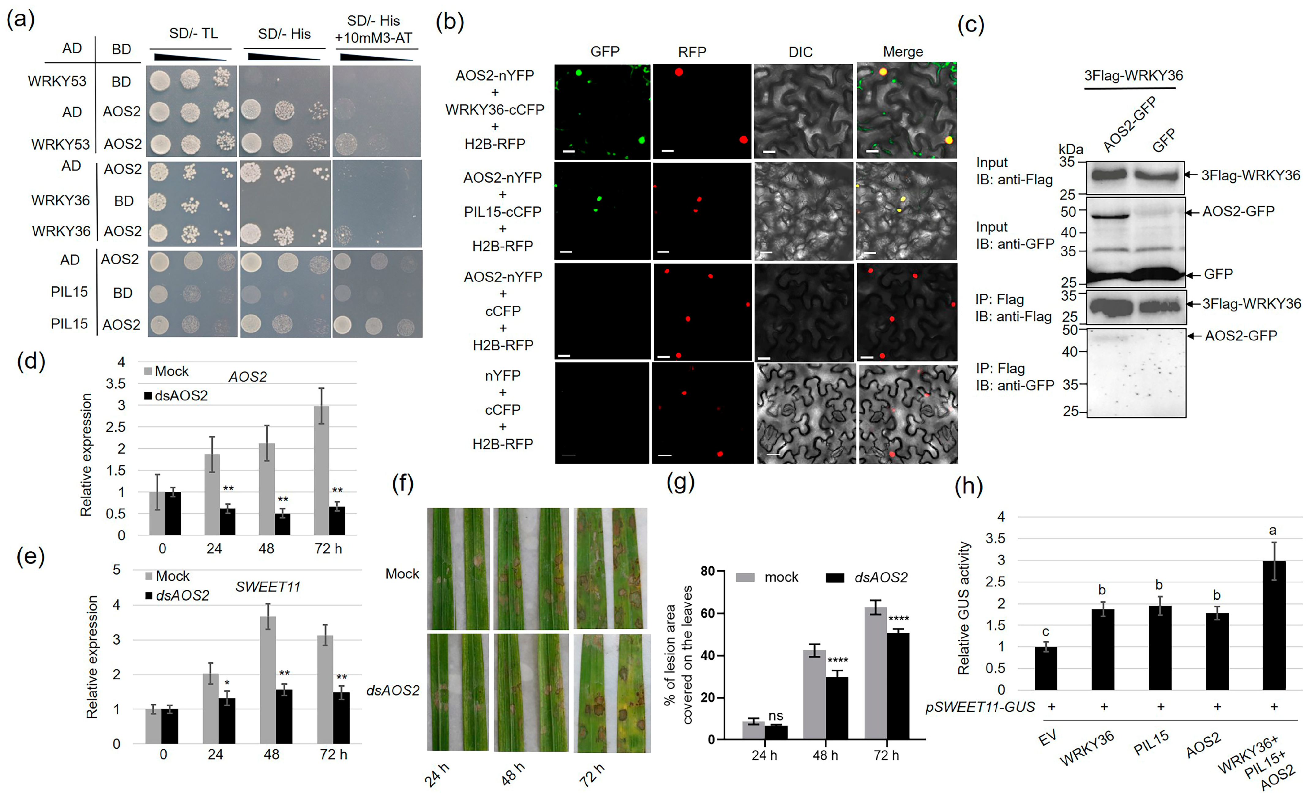 Plants 14 00518 g007