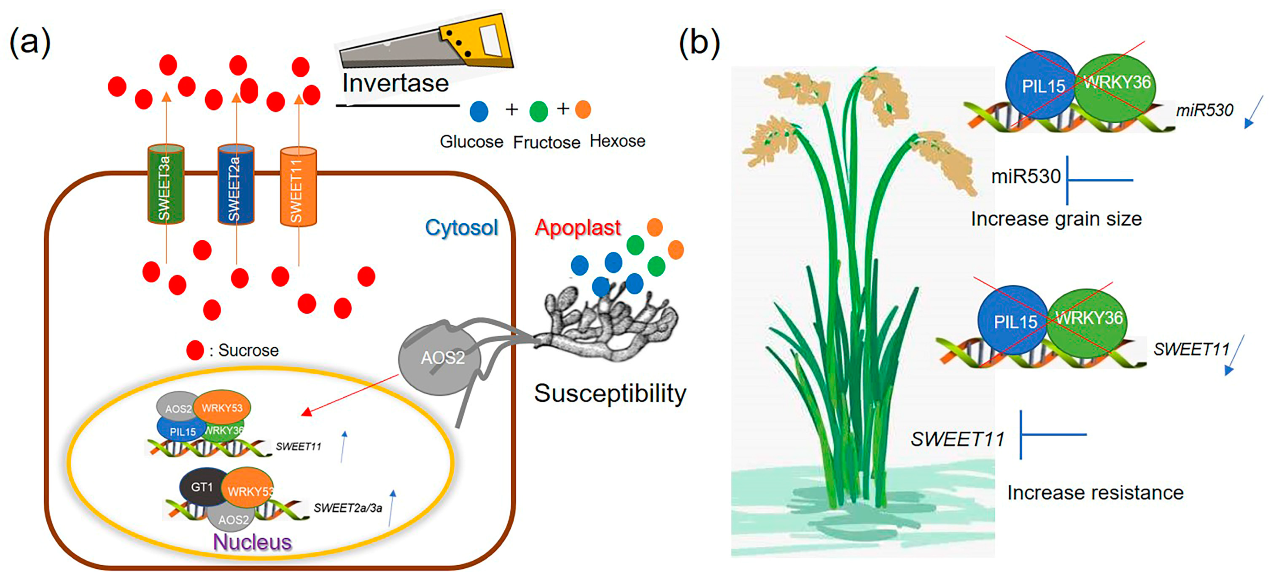 Plants 14 00518 g008