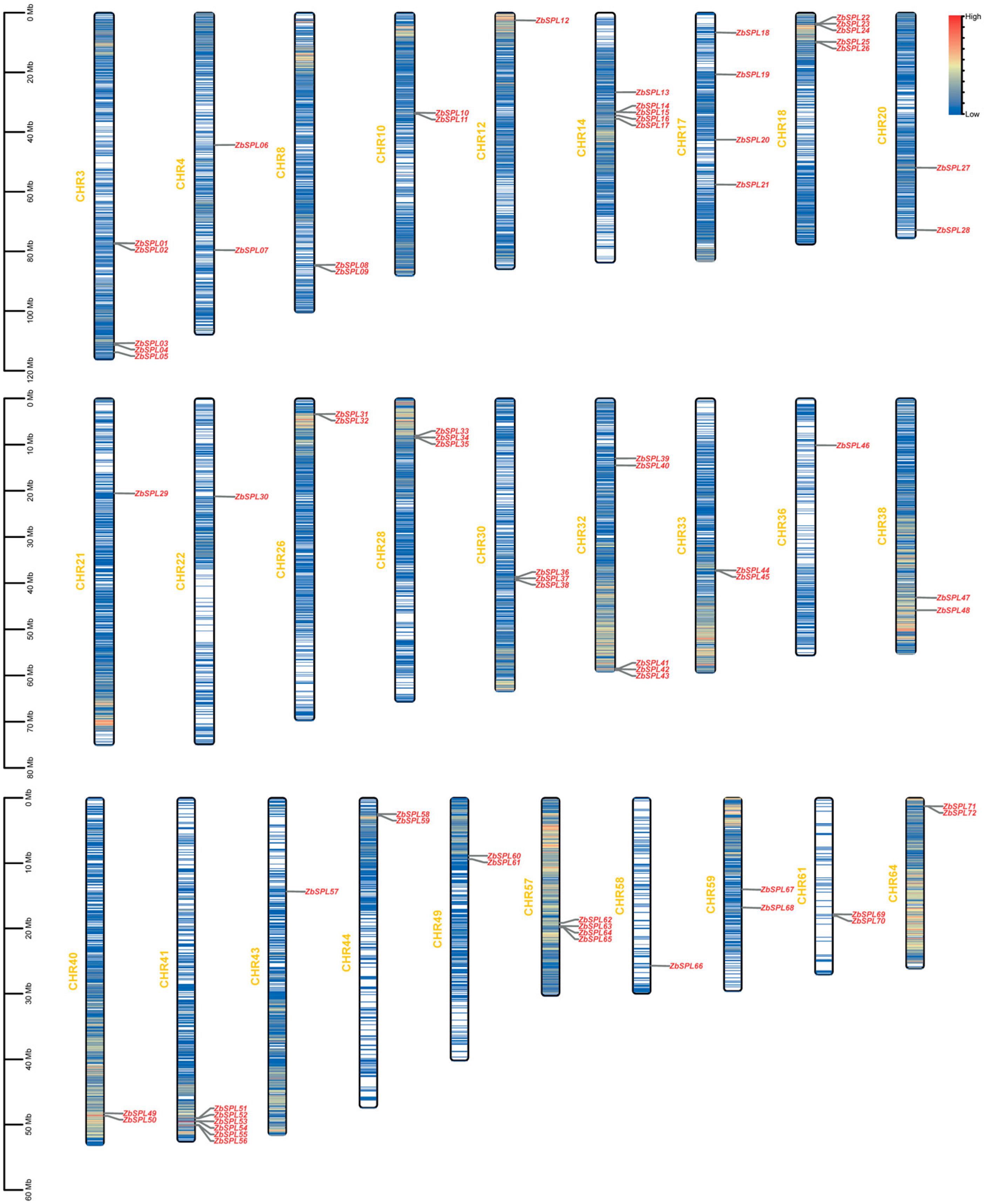 Plants 14 00520 g001