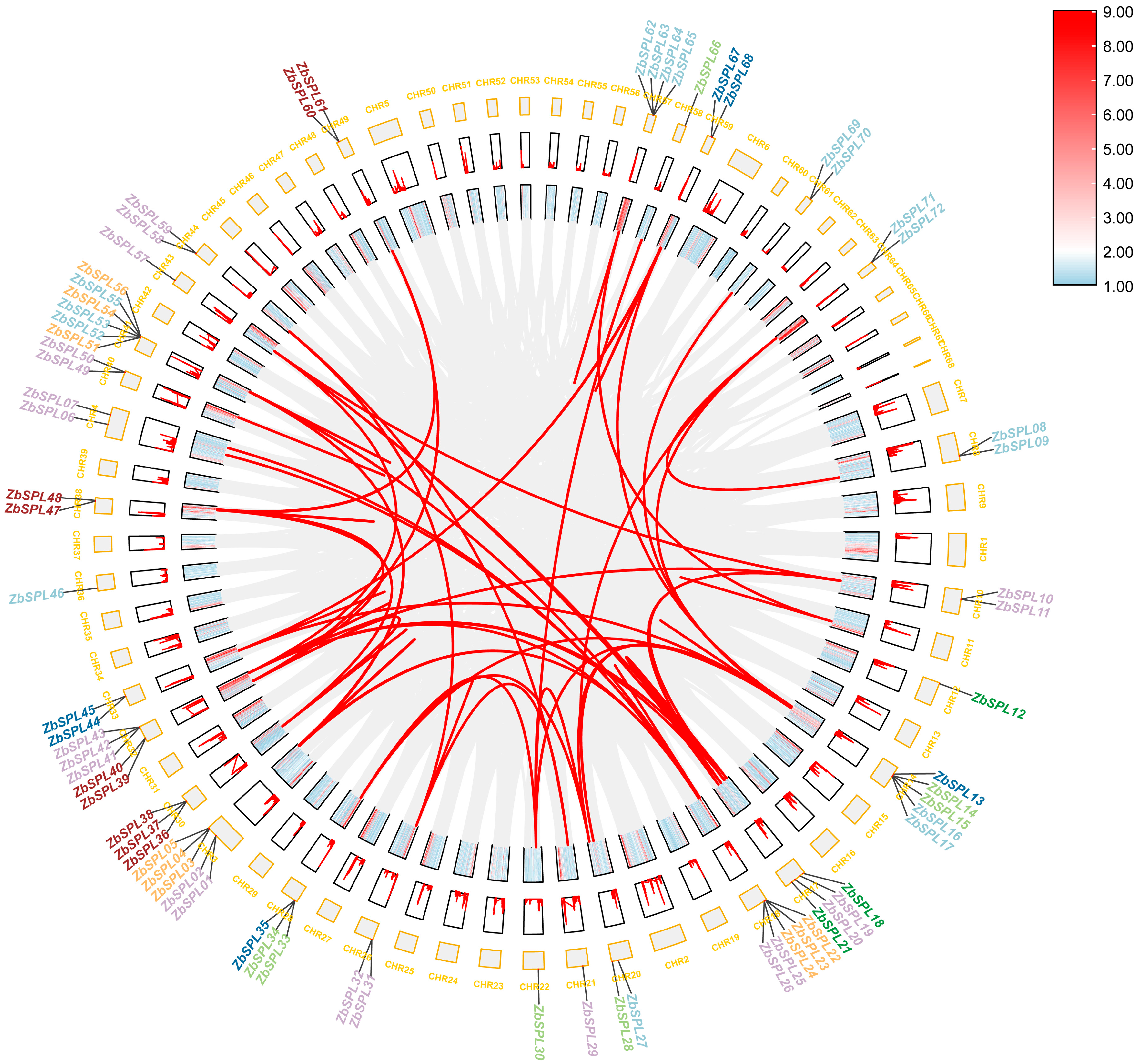 Plants 14 00520 g002