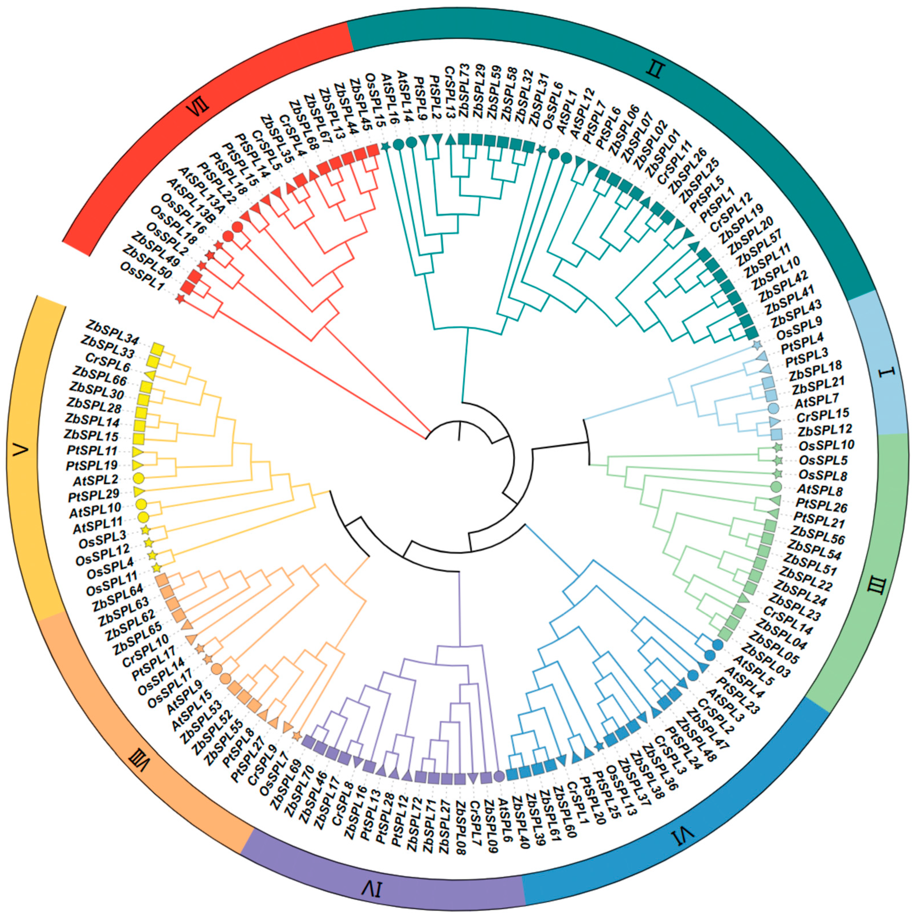 Plants 14 00520 g004