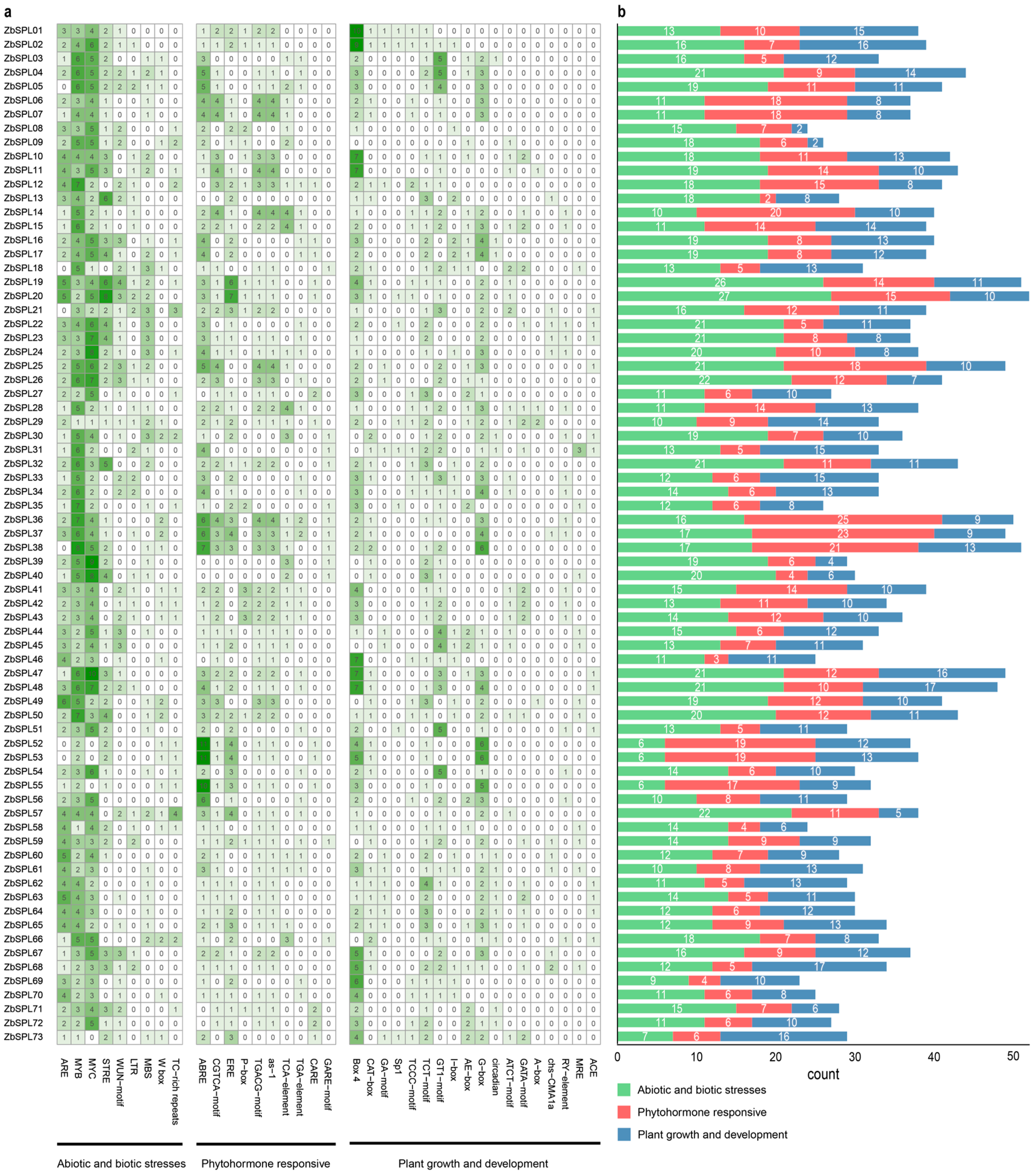 Plants 14 00520 g005