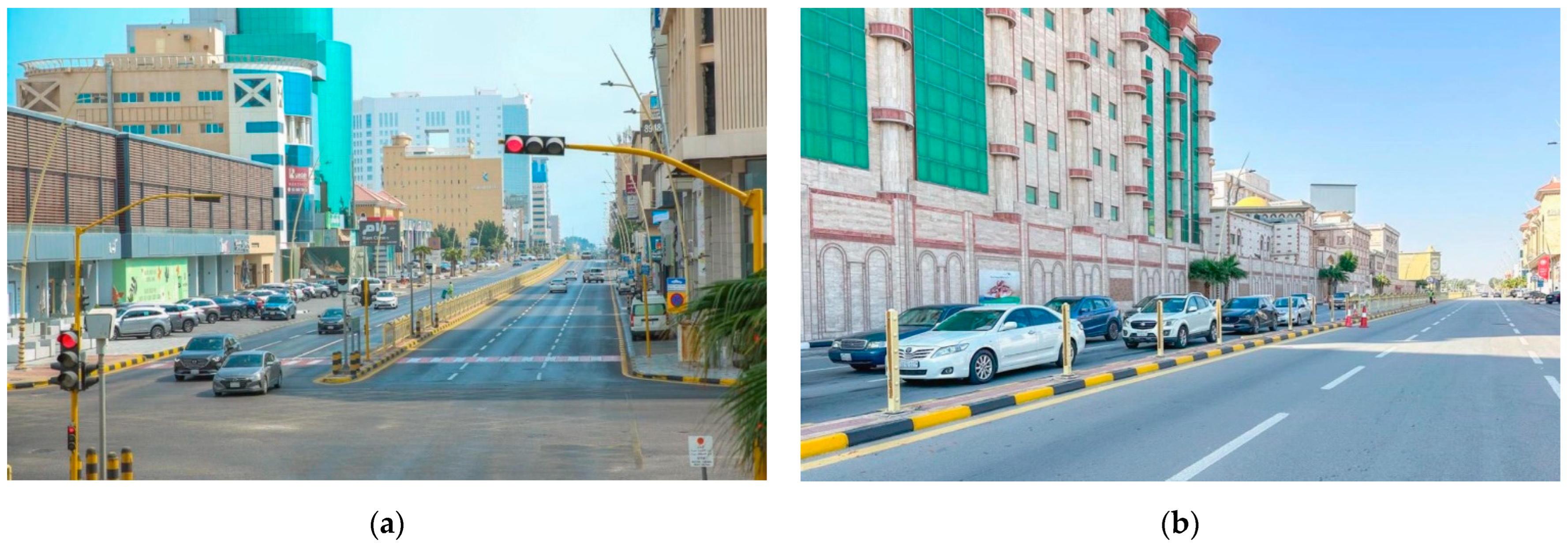 Plants 14 00521 g008