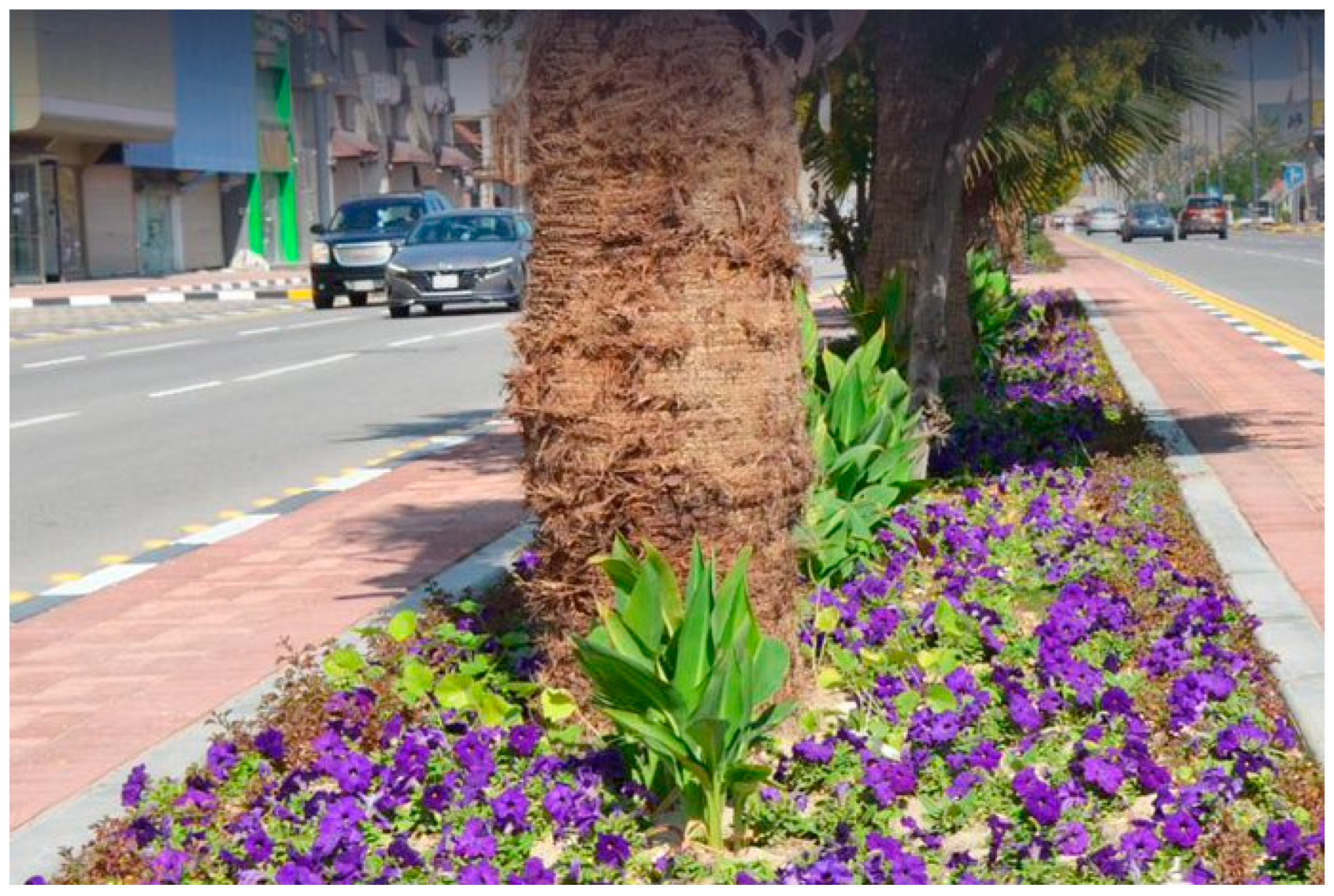 Plants 14 00521 g009