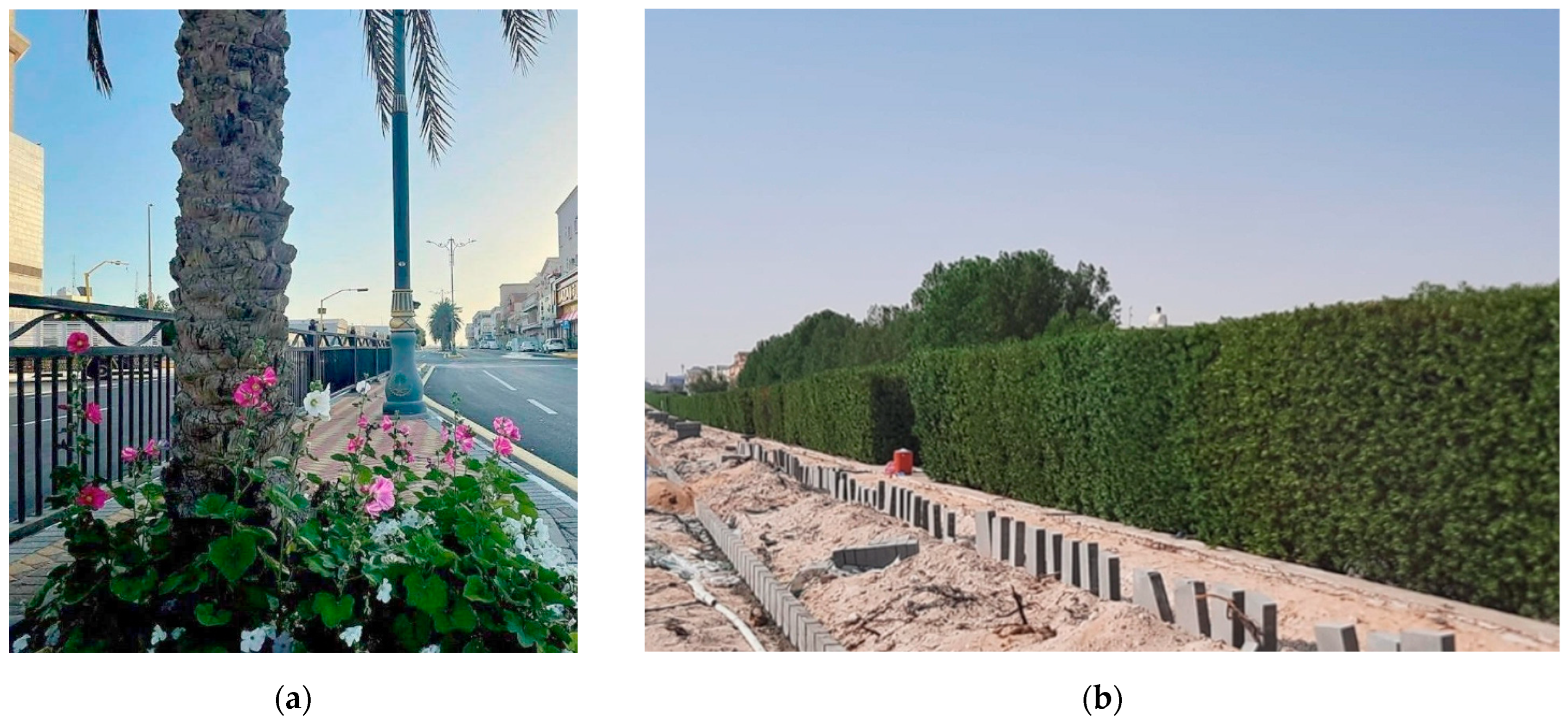 Plants 14 00521 g010