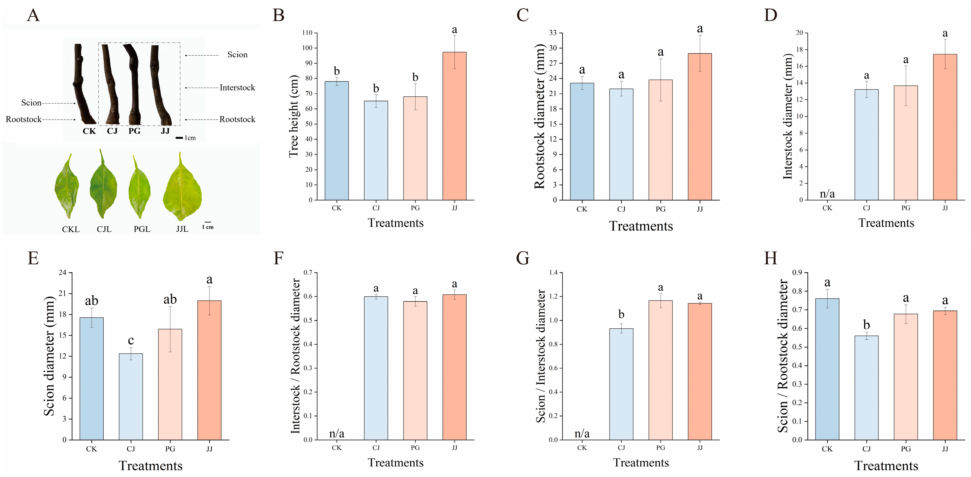 Plants 14 00522 g001