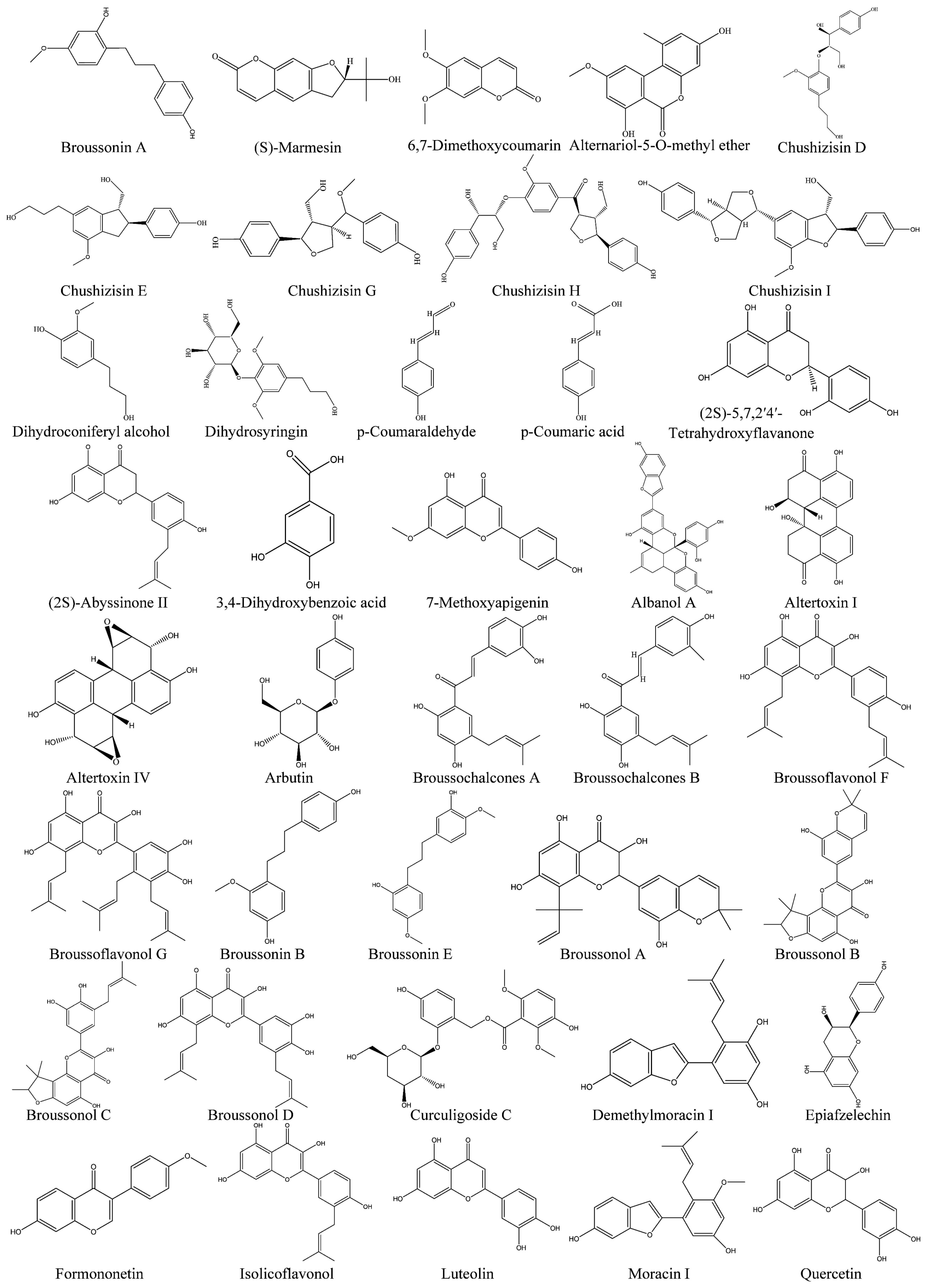 Plants 14 00523 g001 Plants 14 00523 g001