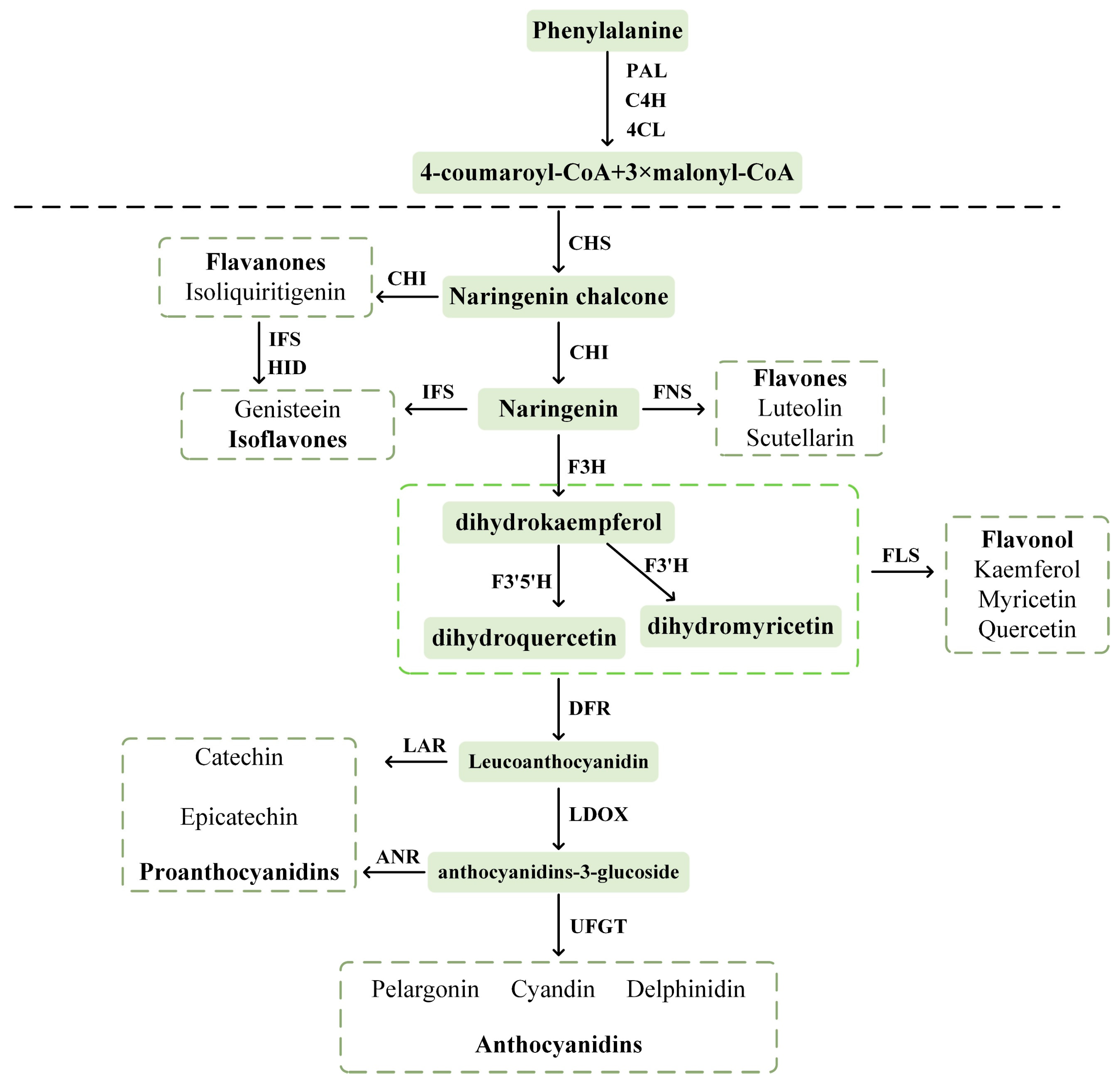 Plants 14 00523 g002 Plants 14 00523 g002
