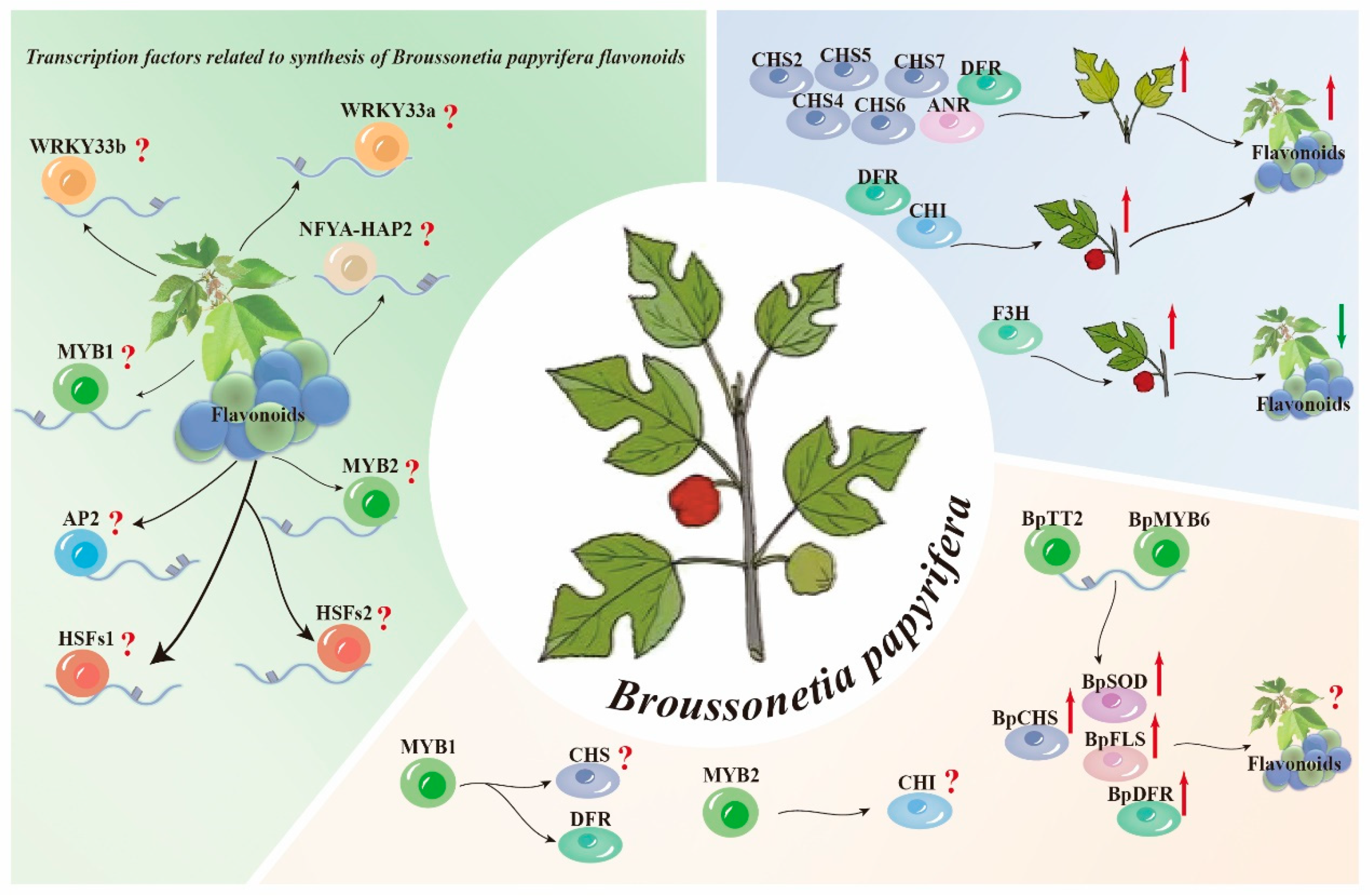 Plants 14 00523 g003 Plants 14 00523 g003