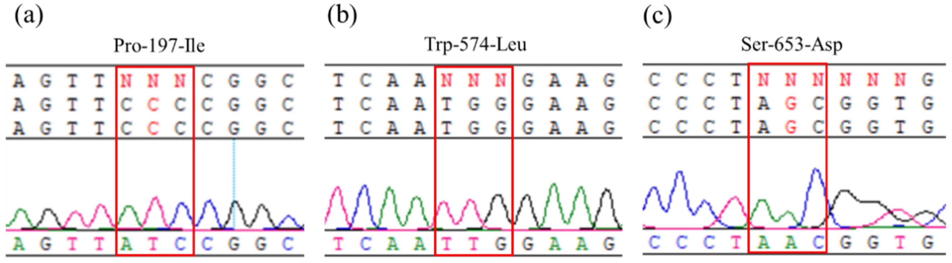 Plants 14 00525 g002