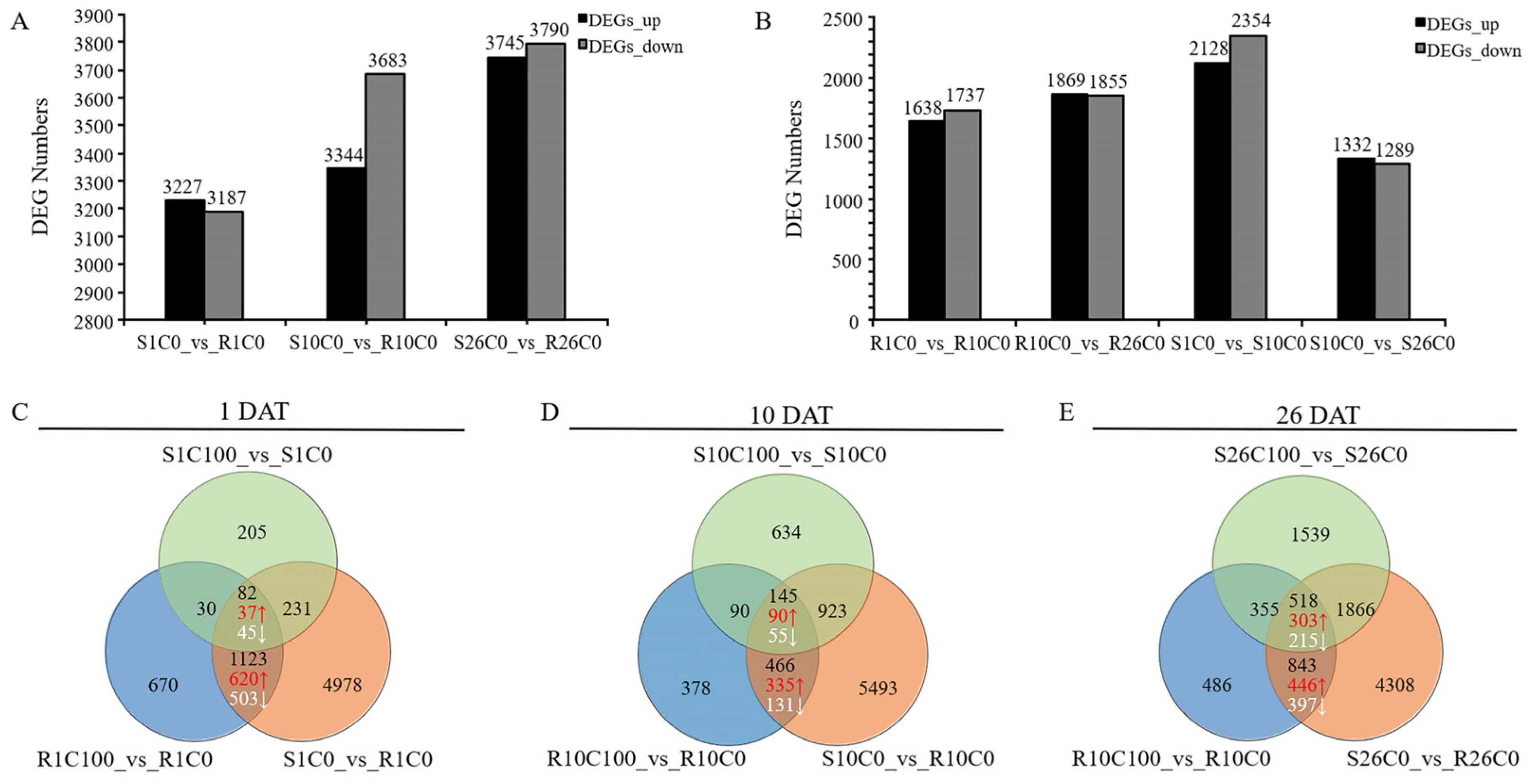 Plants 14 00527 g003