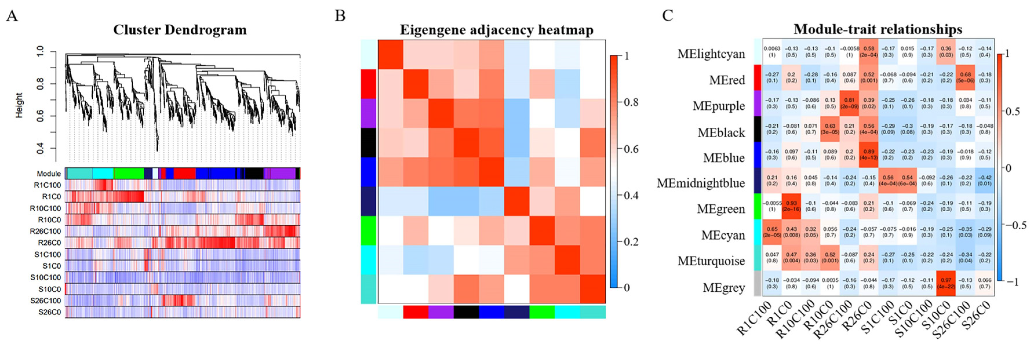 Plants 14 00527 g004