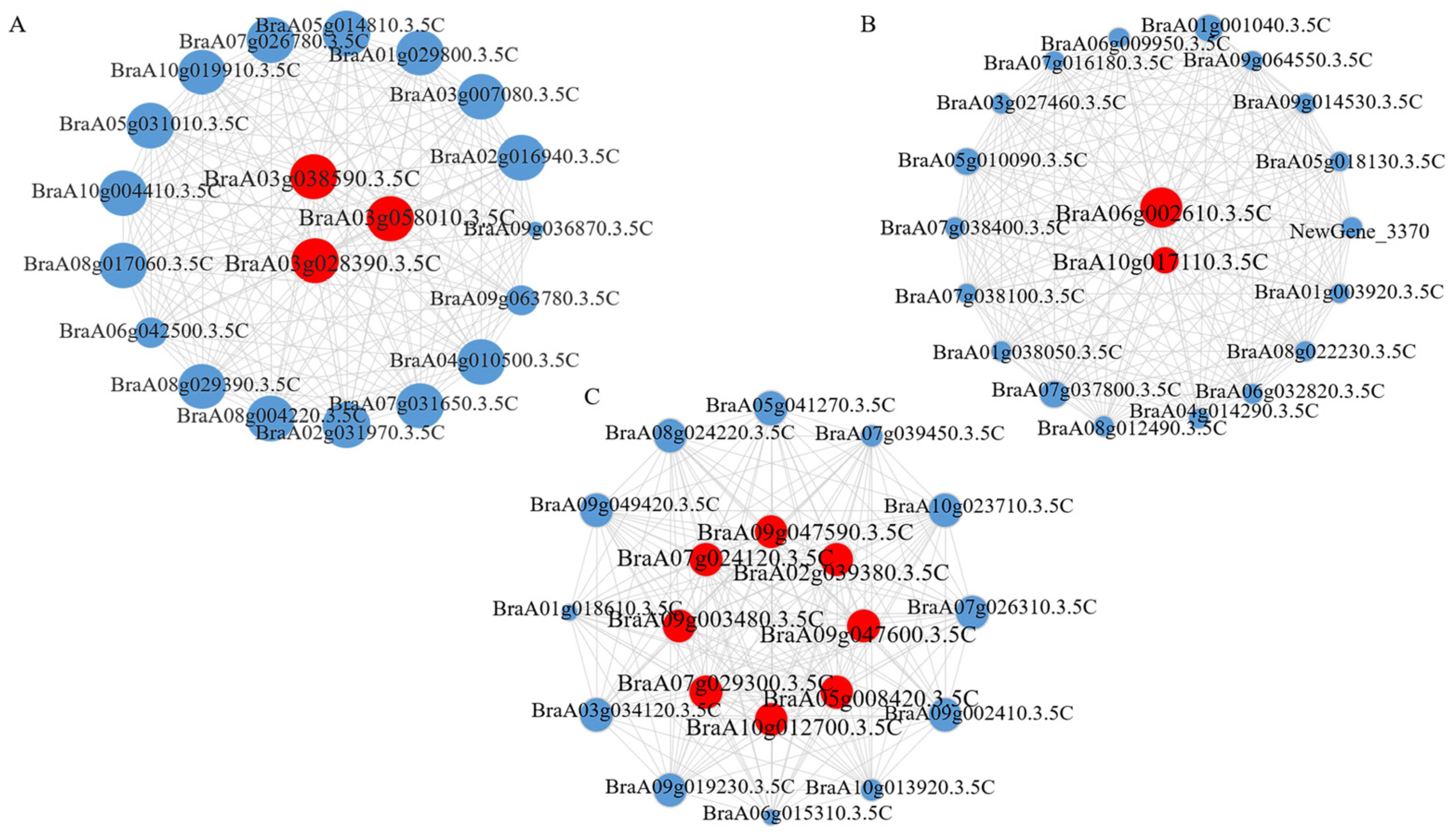 Plants 14 00527 g005