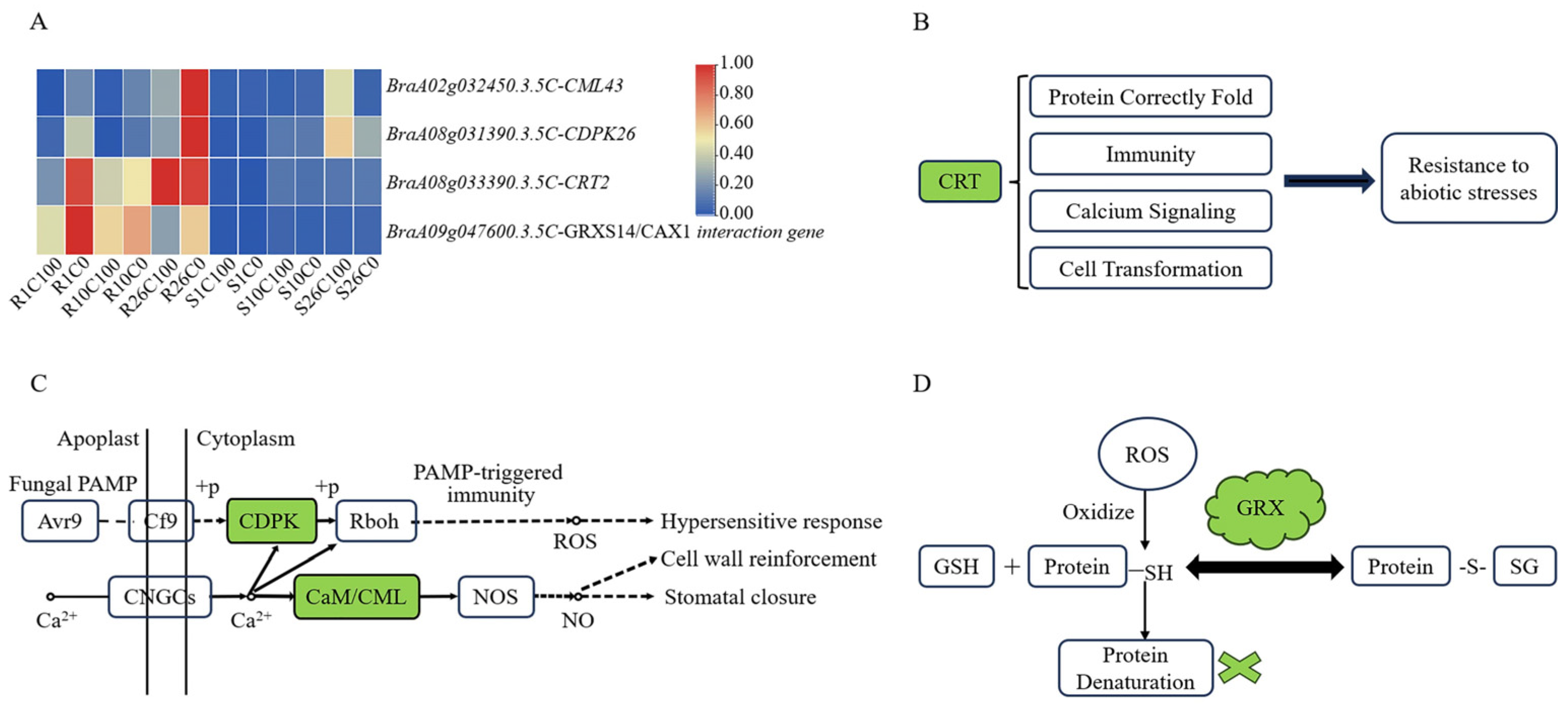 Plants 14 00527 g006