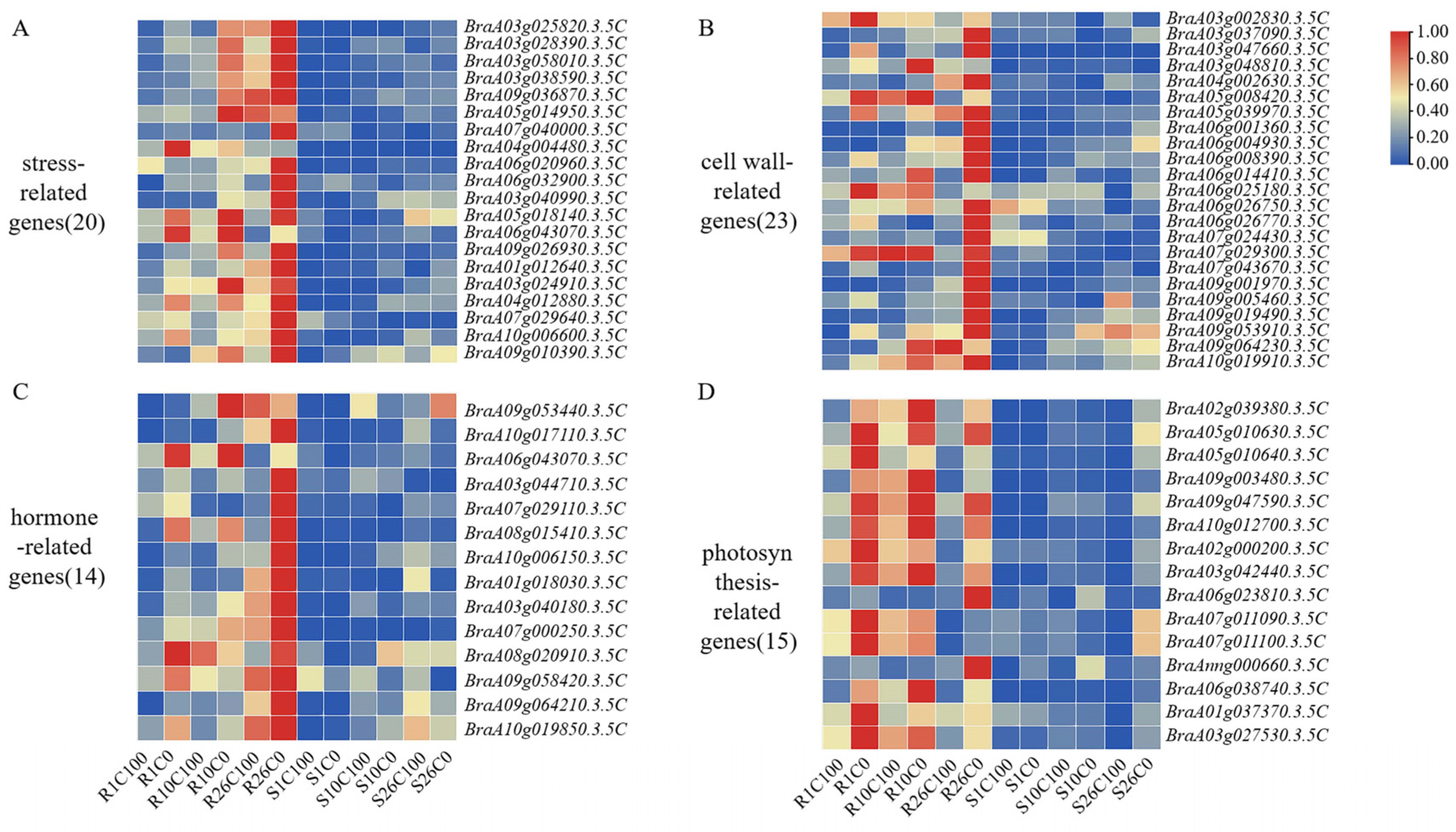 Plants 14 00527 g007