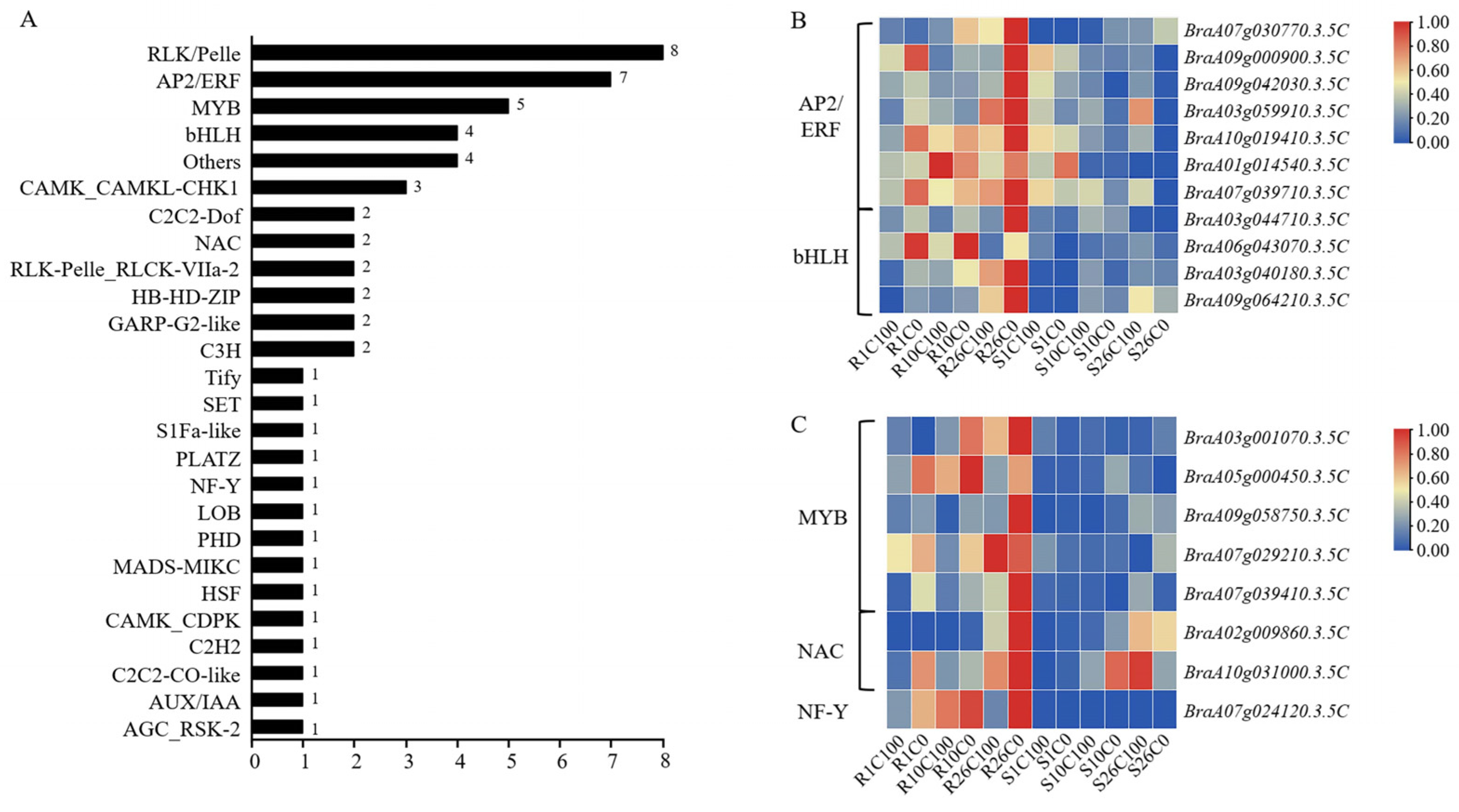 Plants 14 00527 g008