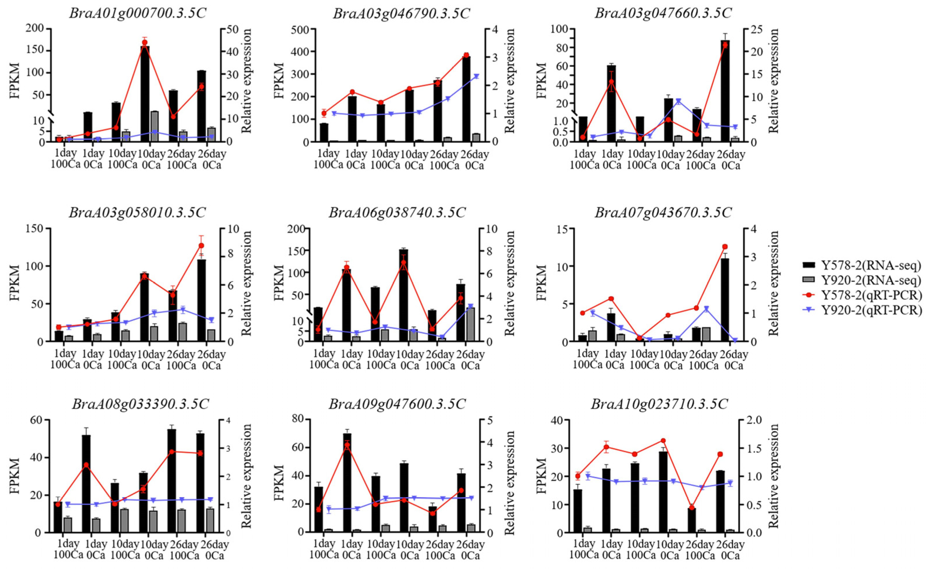 Plants 14 00527 g009