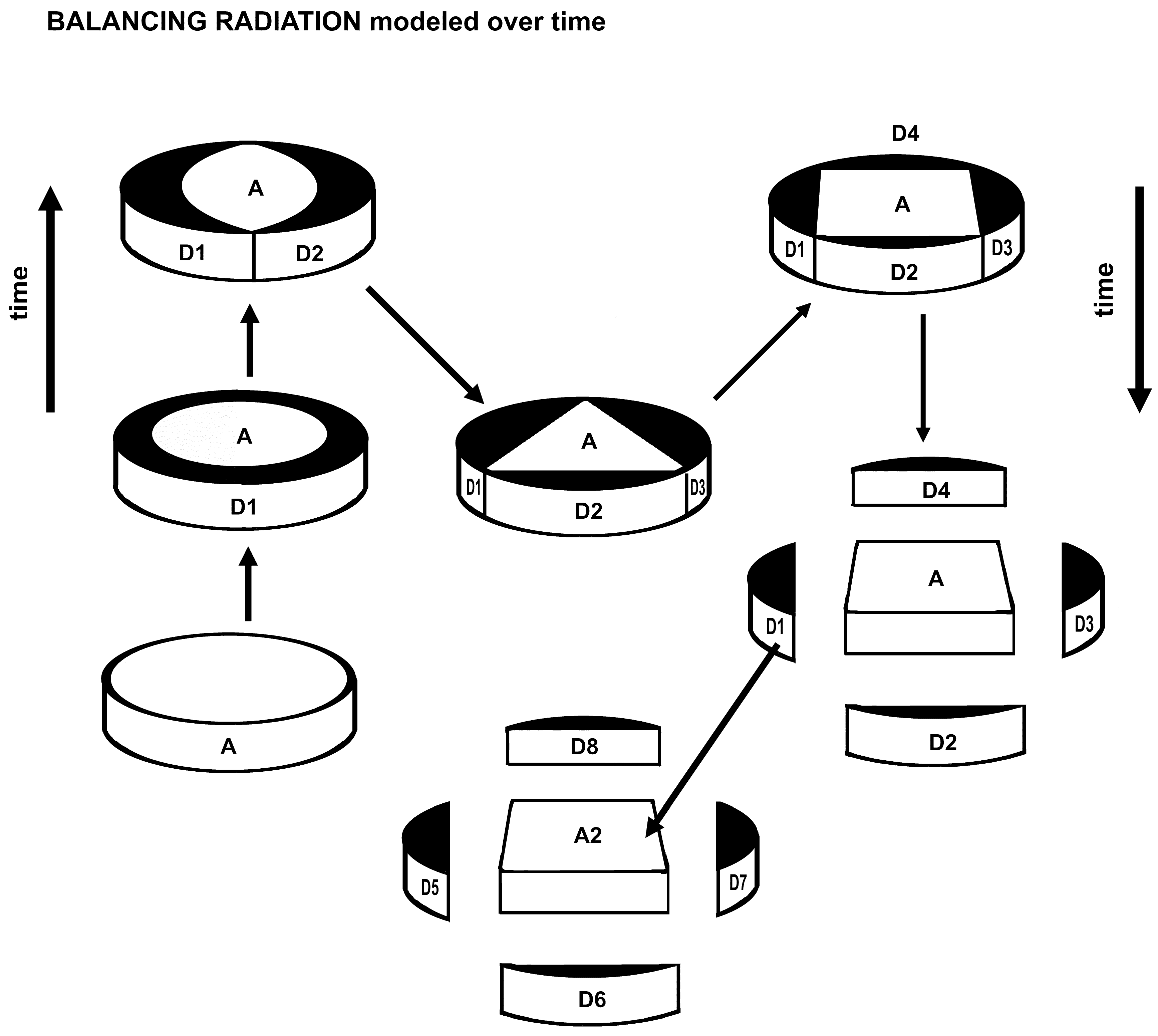 Plants 14 00530 g004