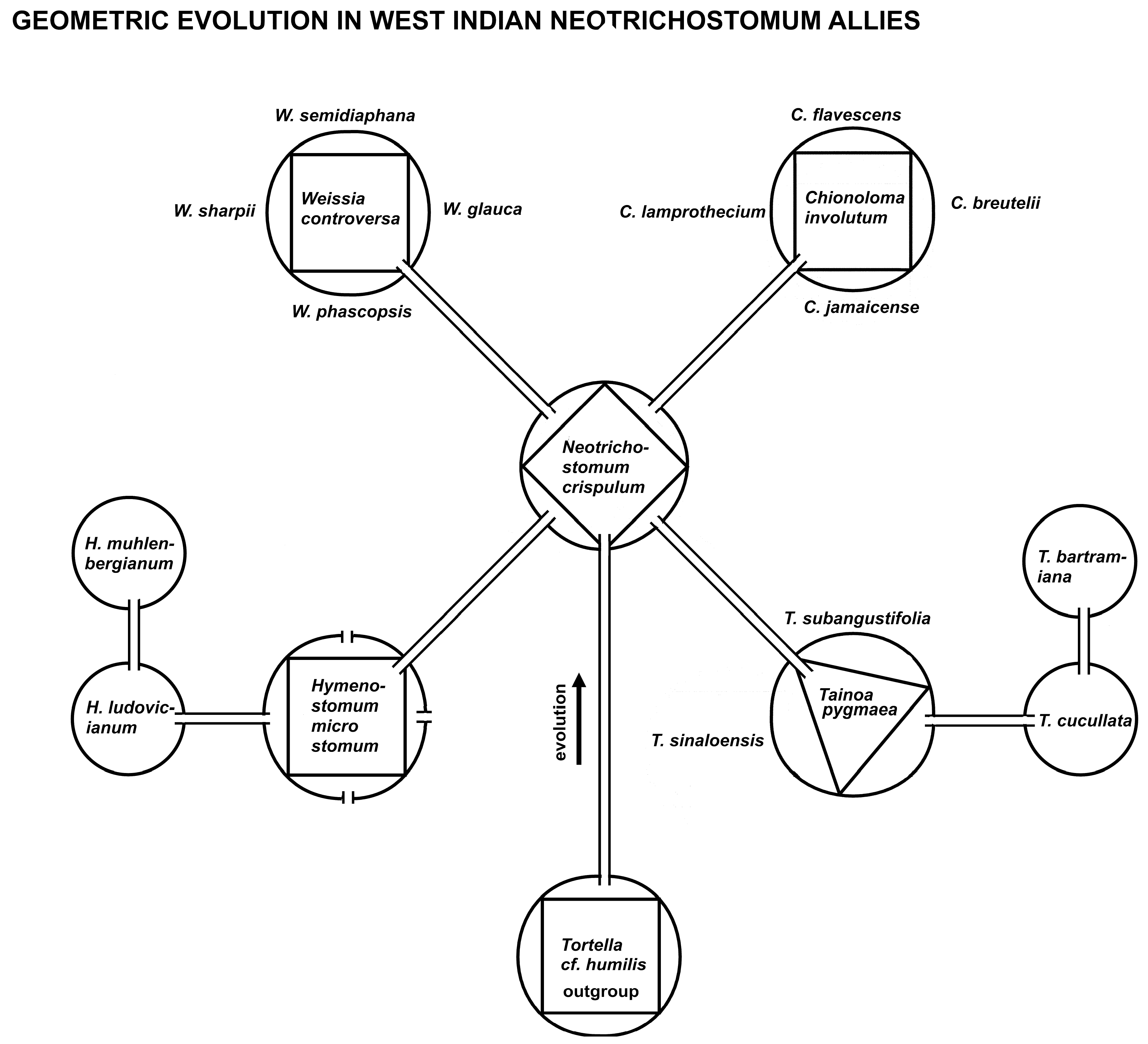 Plants 14 00530 g006