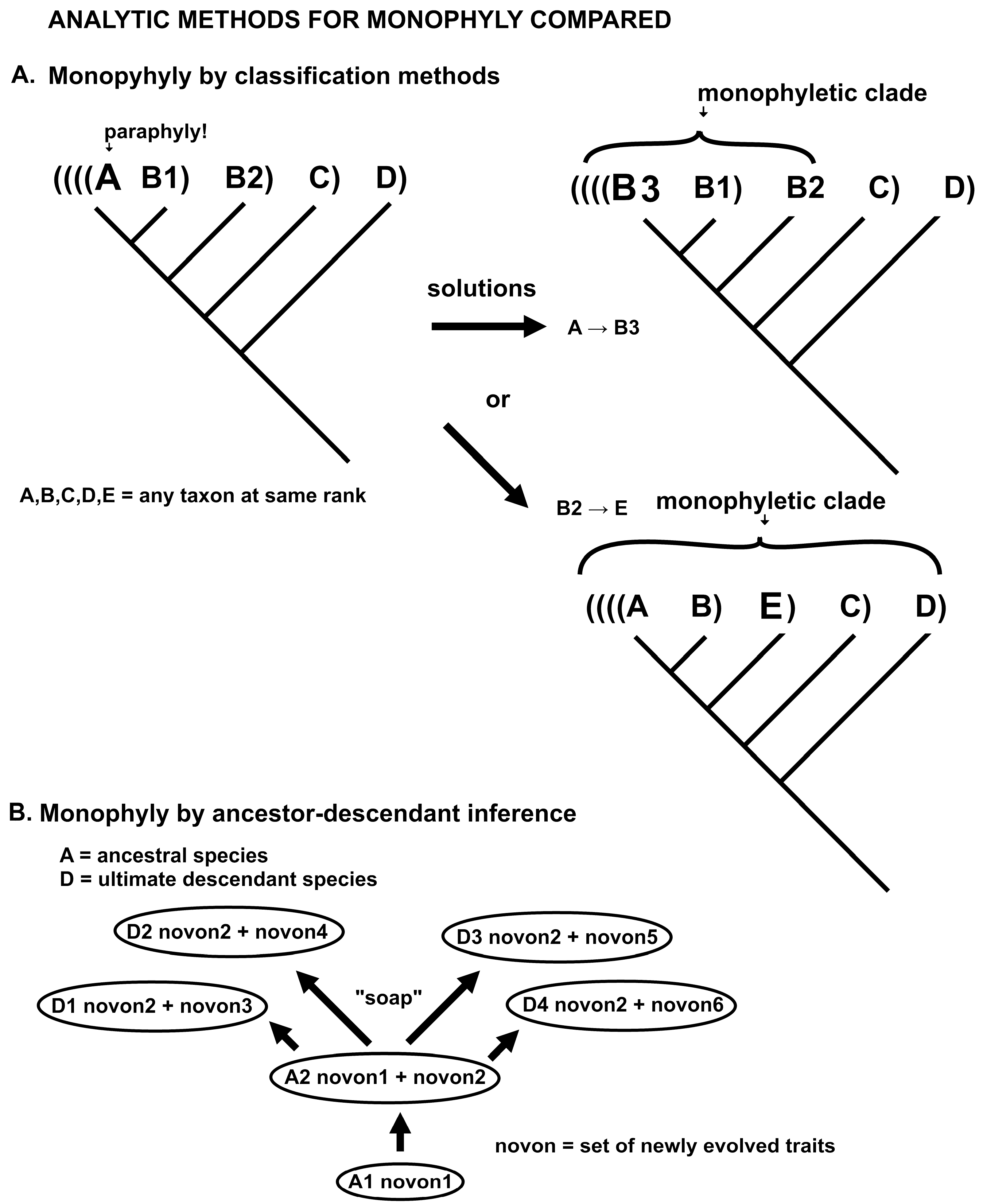 Plants 14 00530 g007