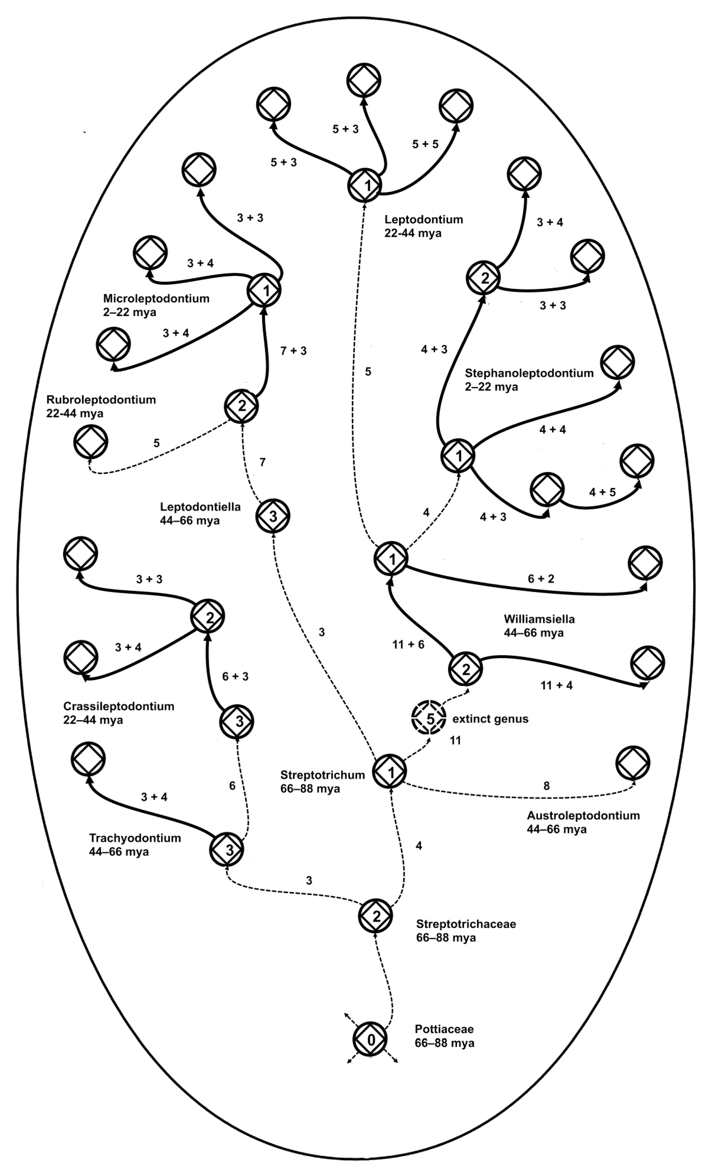 Plants 14 00530 g008