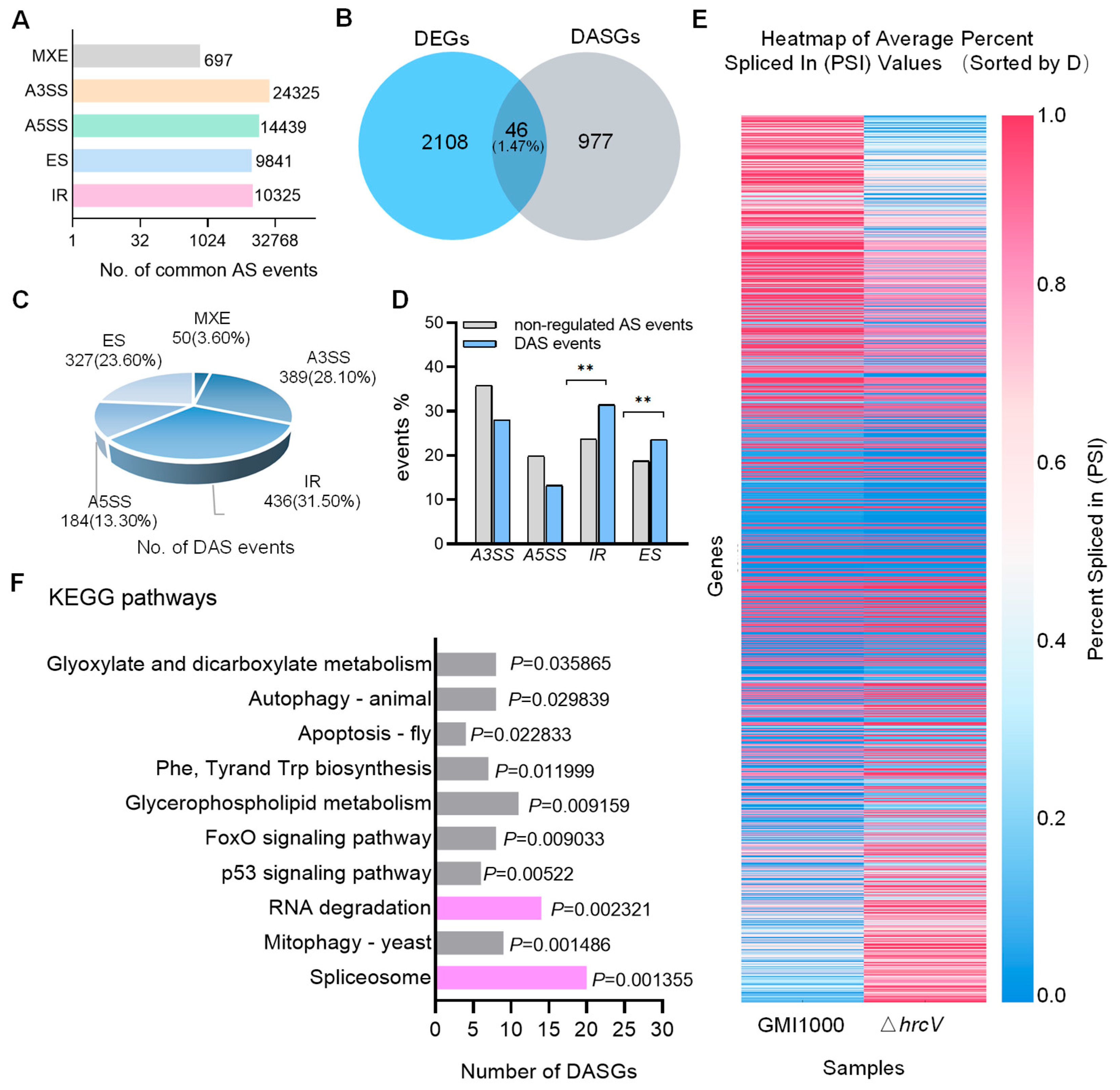 Plants 14 00534 g002