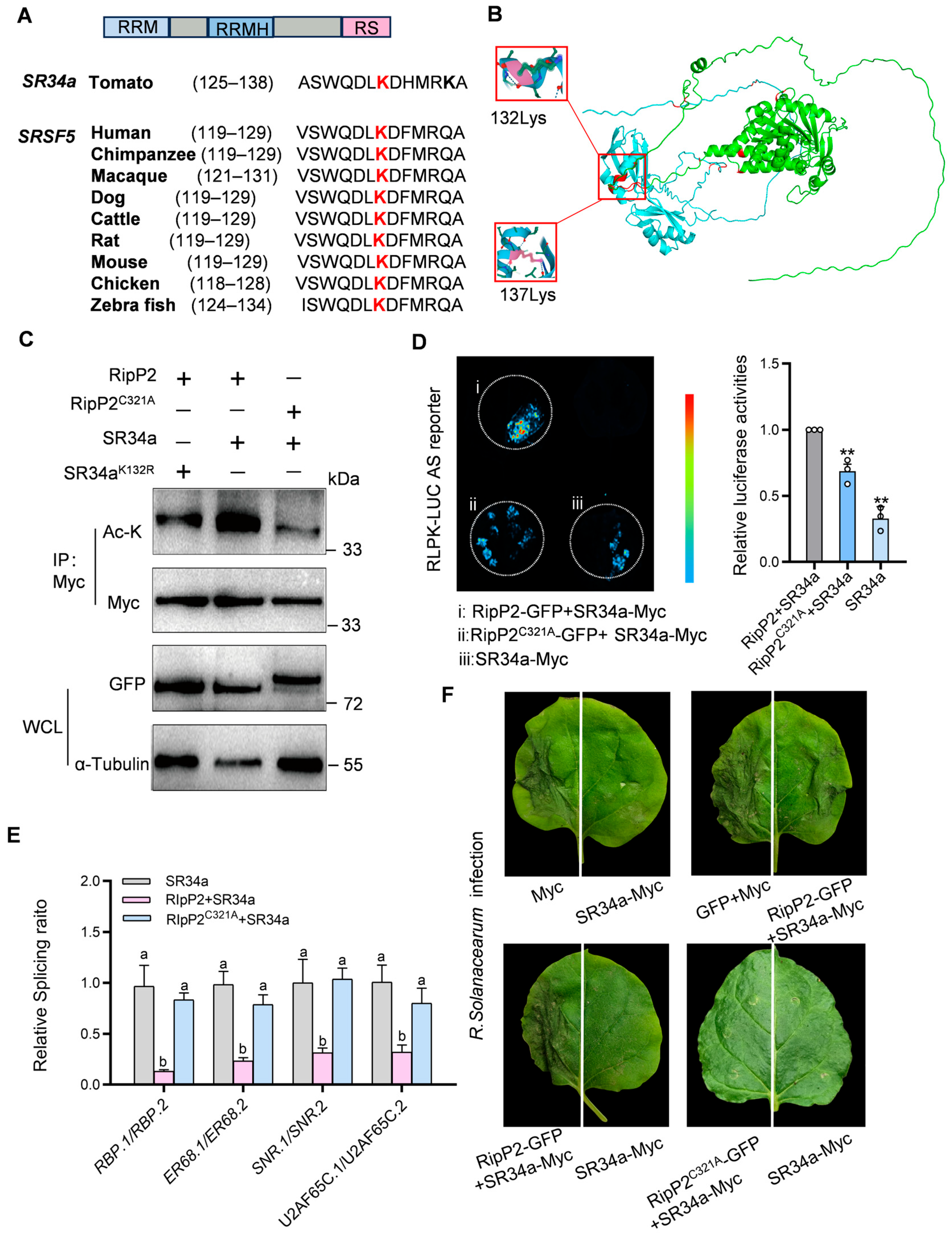 Plants 14 00534 g007