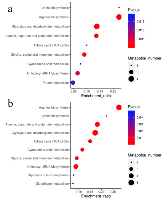 VS セット Integrated Analysis of Metabolites and Biological Endpoints