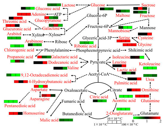 Integrated Analysis of Metabolites and Biological Endpoints Integrated Analysis of Metabolites and Biological Endpoints