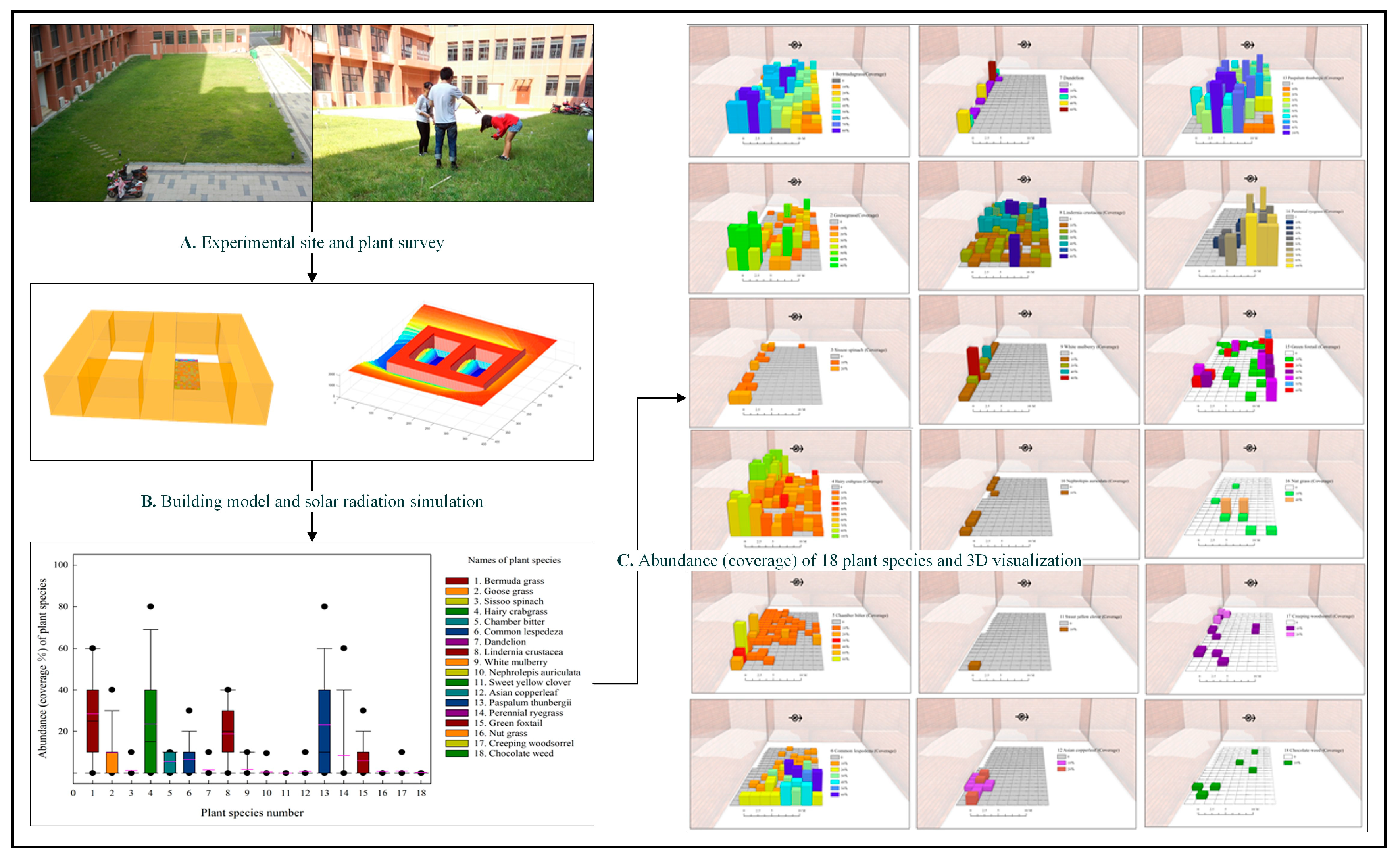 Plants 14 00539 g002