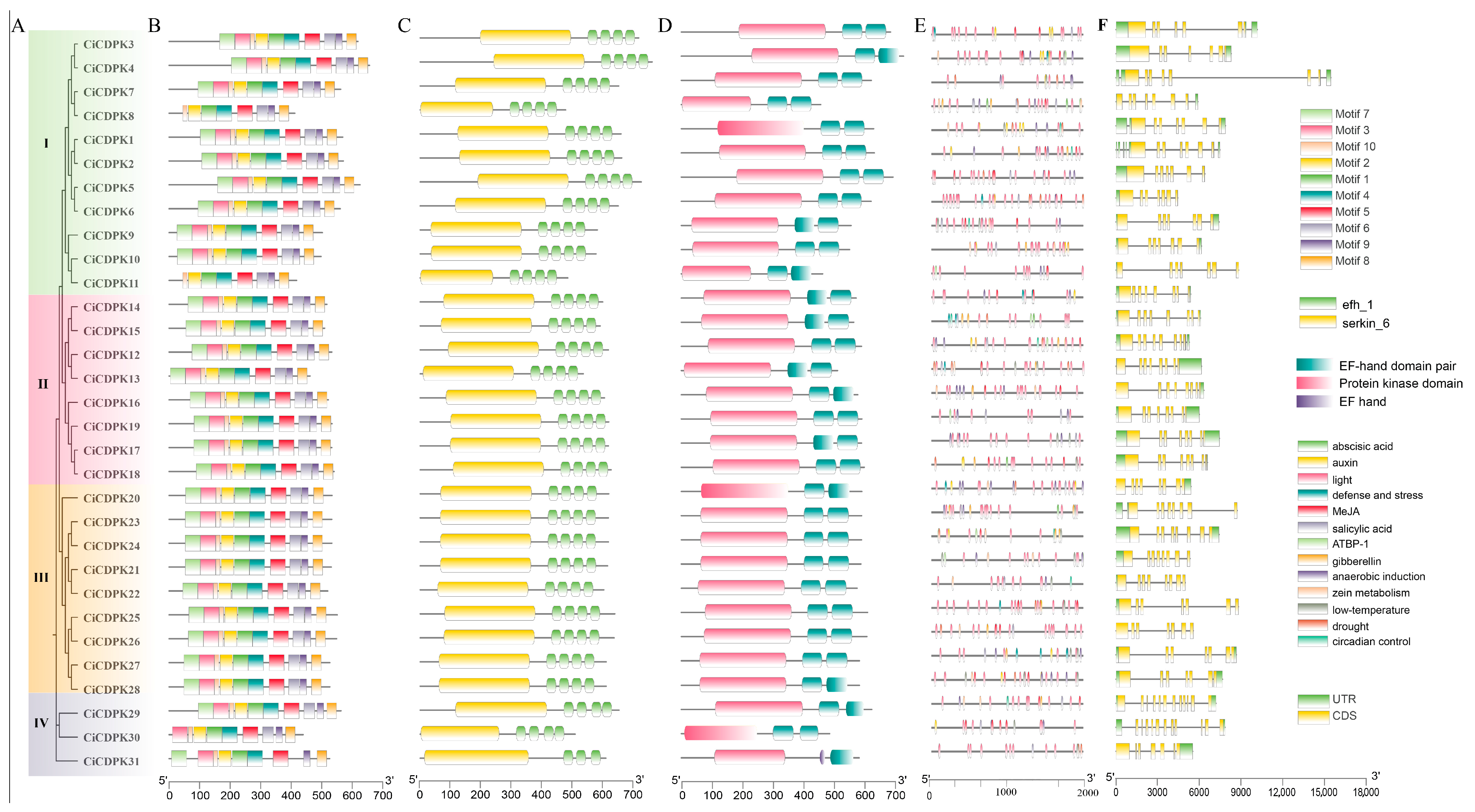 Plants 14 00540 g002