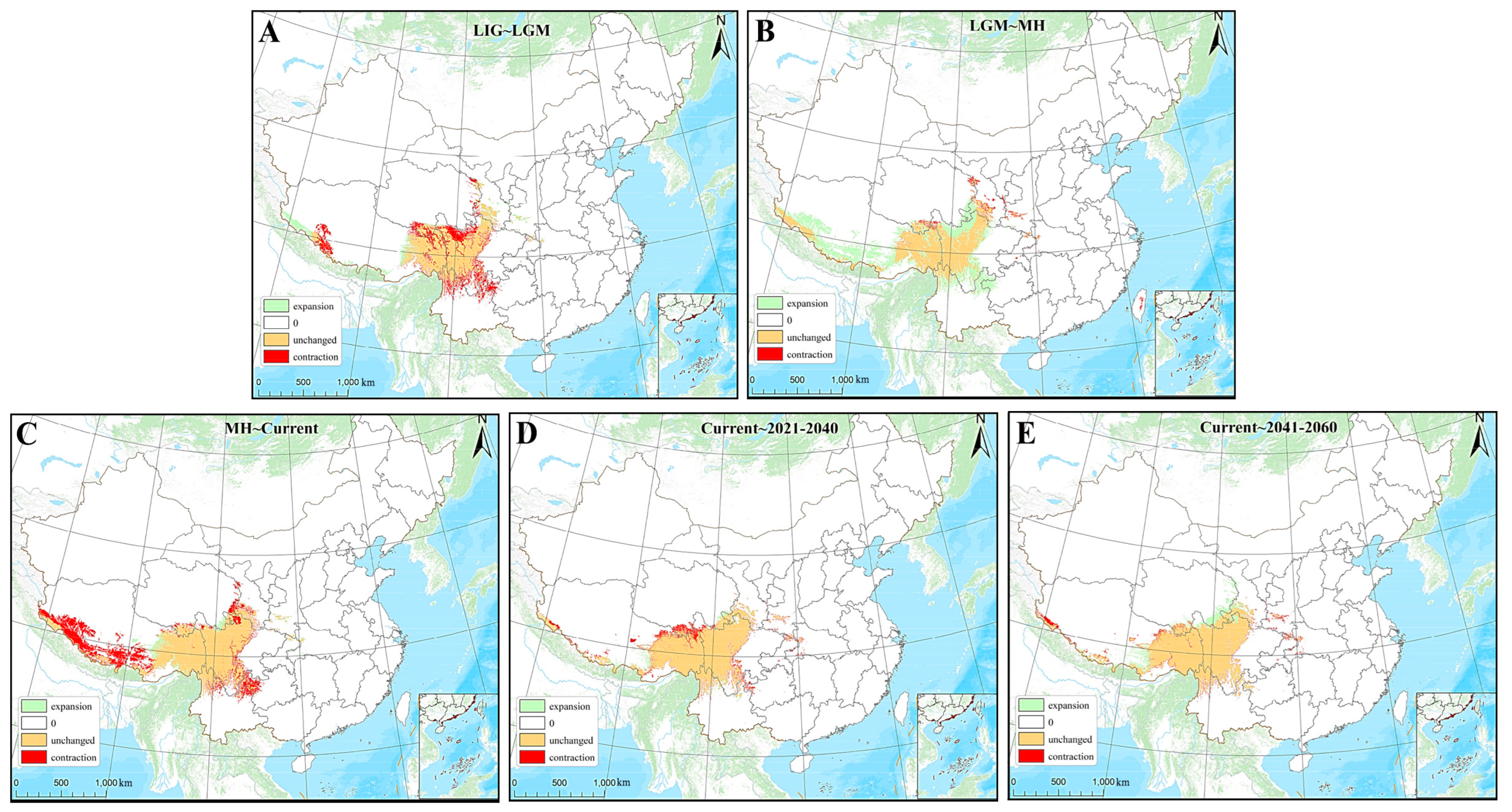 Plants 14 00541 g006